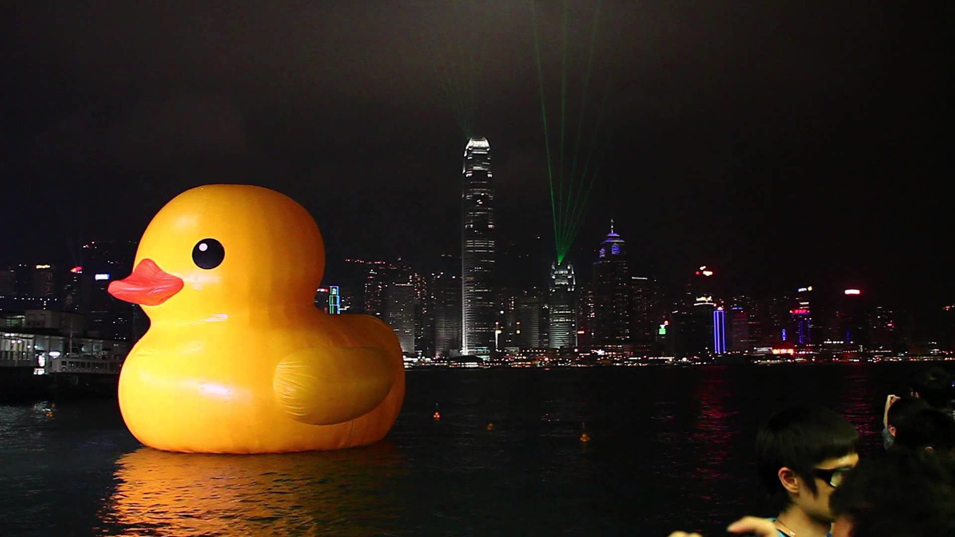 1920x1080 æ©¡ç®é´¨éä¸çé¦æ¸¯ç«Hong Kong Rubber Duck X é¦æ¸¯æ¥µåå¯æ¼HD 1080P 30ç§ç
