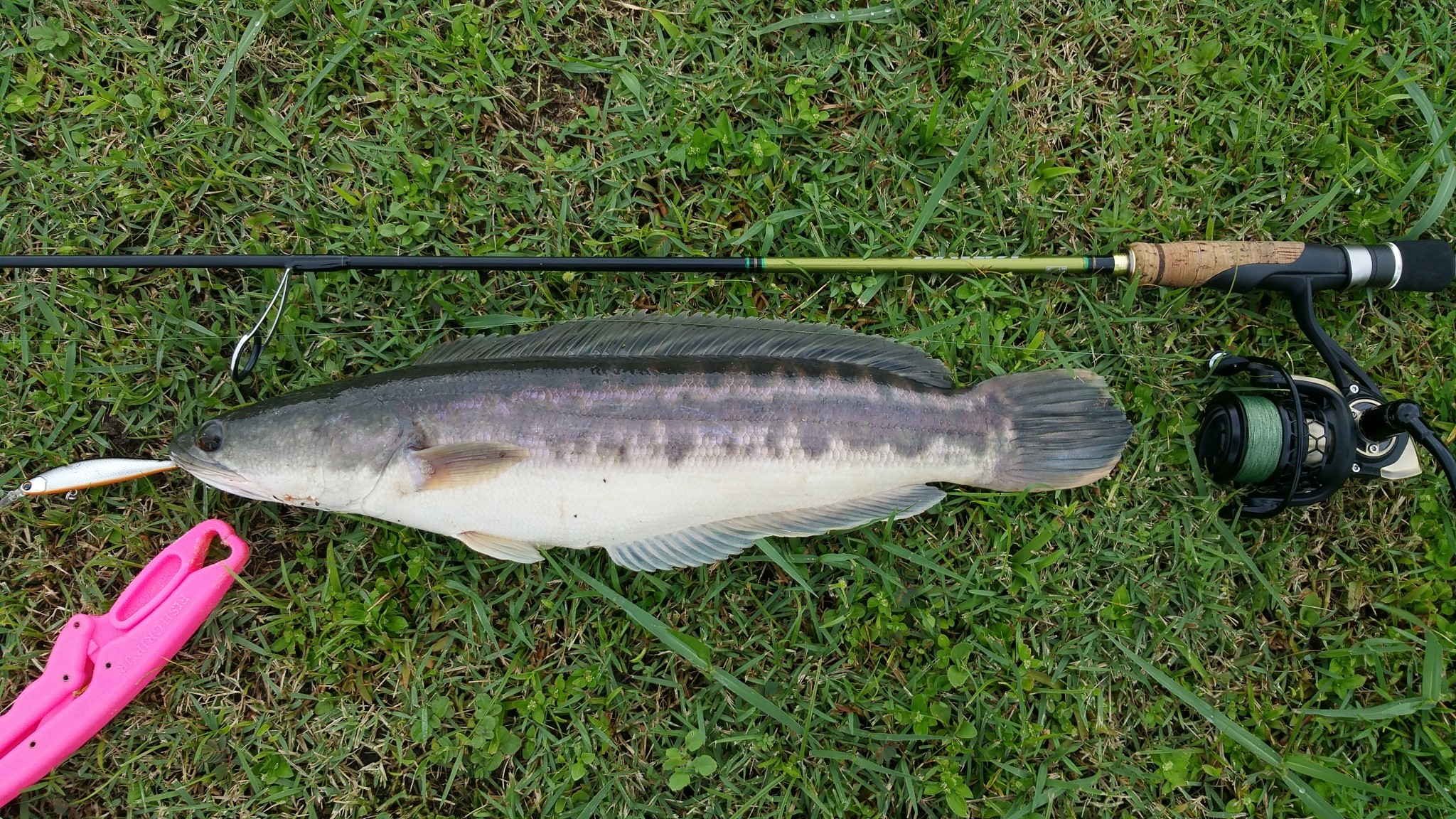 2048x1152 I took Rapala's Koivu out and was impressed by it, it's backbone is clear  and present which gives the angler full control over the fish.