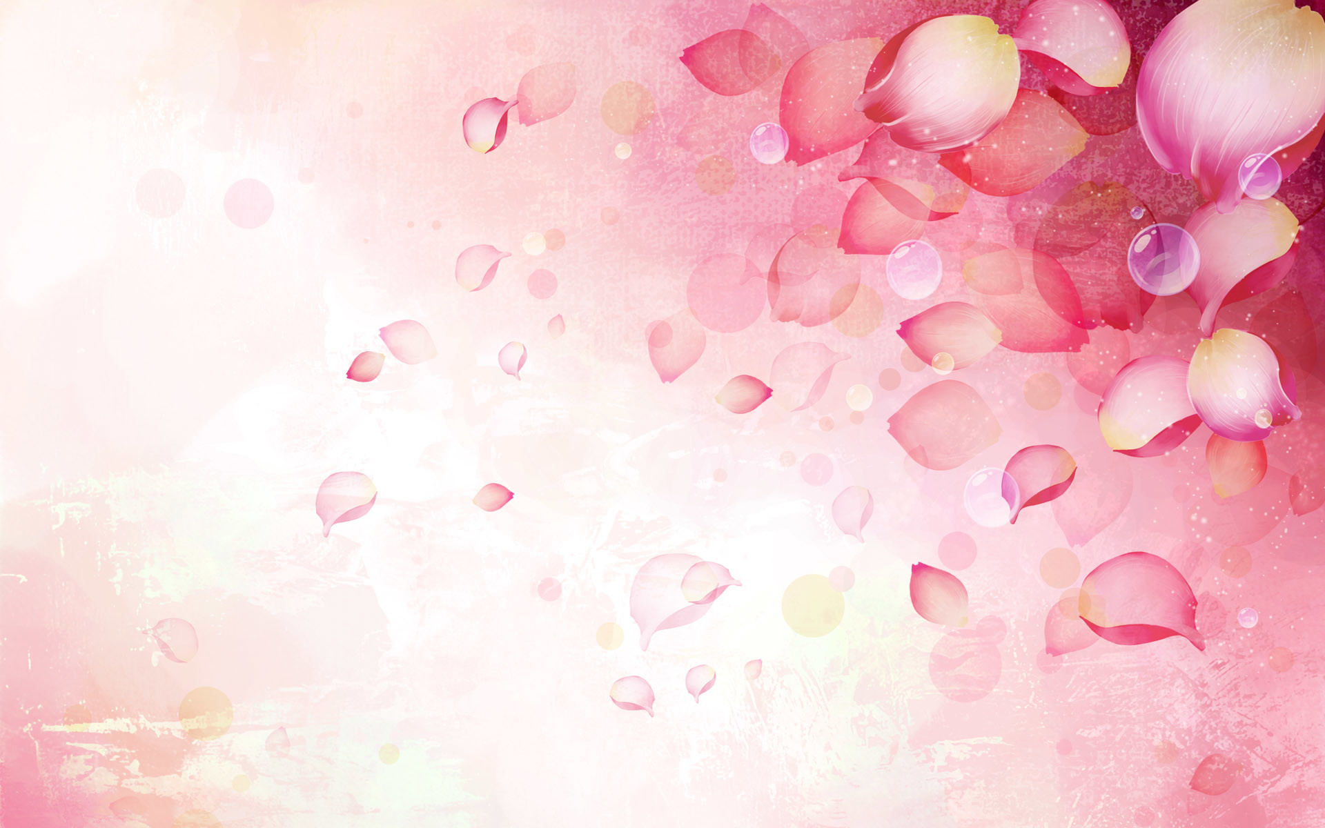 1920x1200 pink flower ppt backgrounds