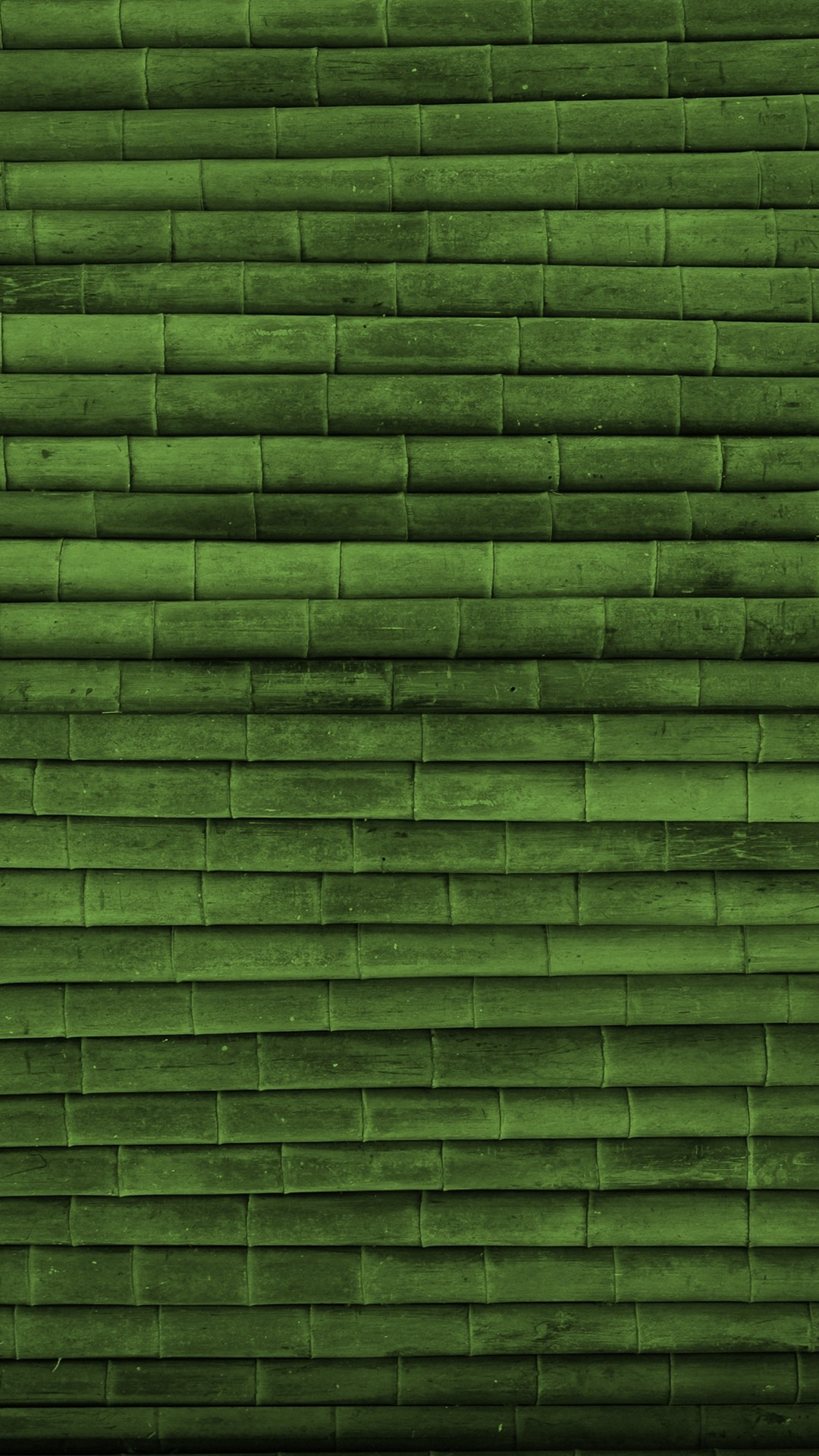 1080x1920 Green Bamboo Wallpaper