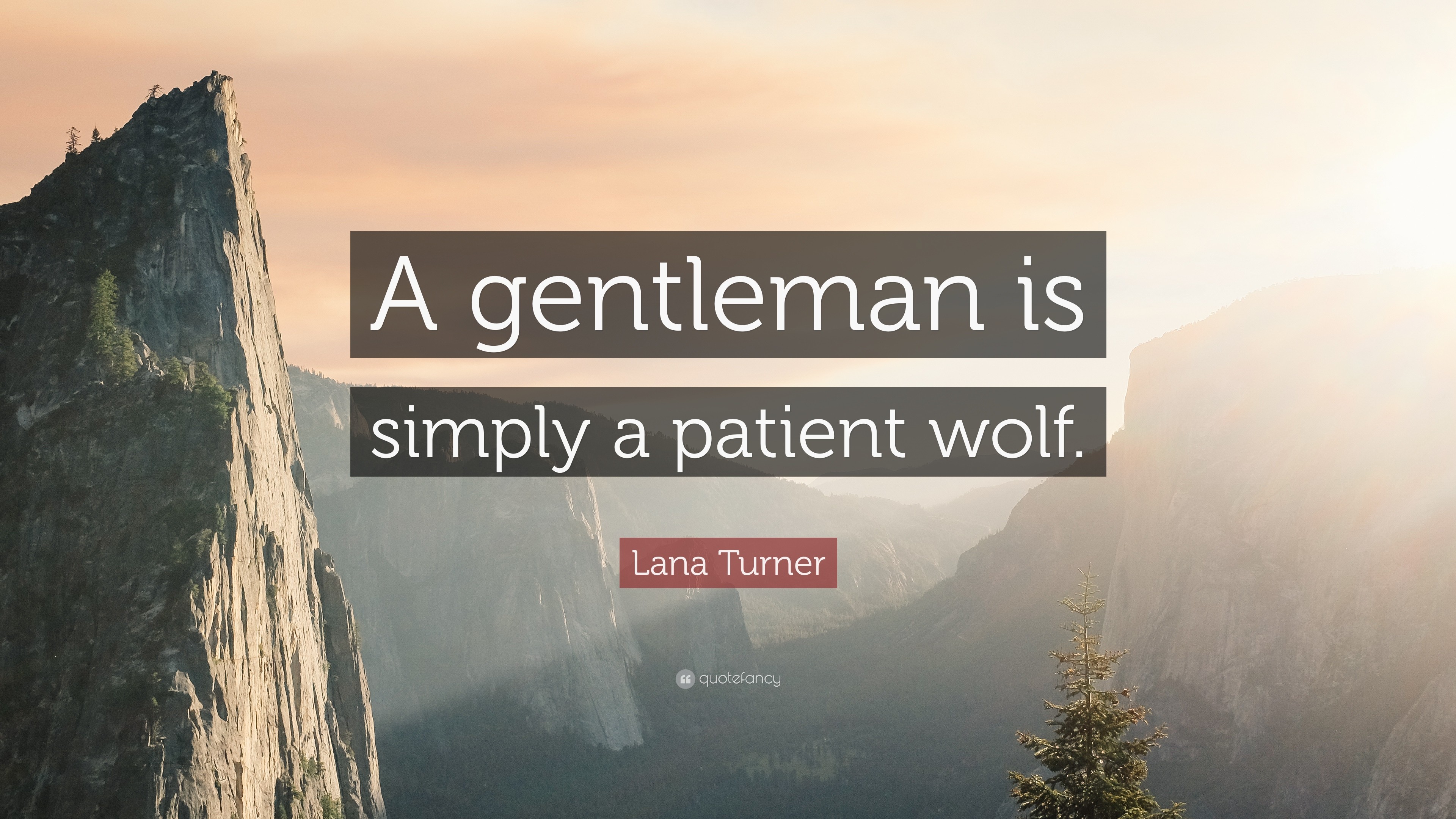 3840x2160 Lana Turner Quote: “A gentleman is simply a patient wolf.”