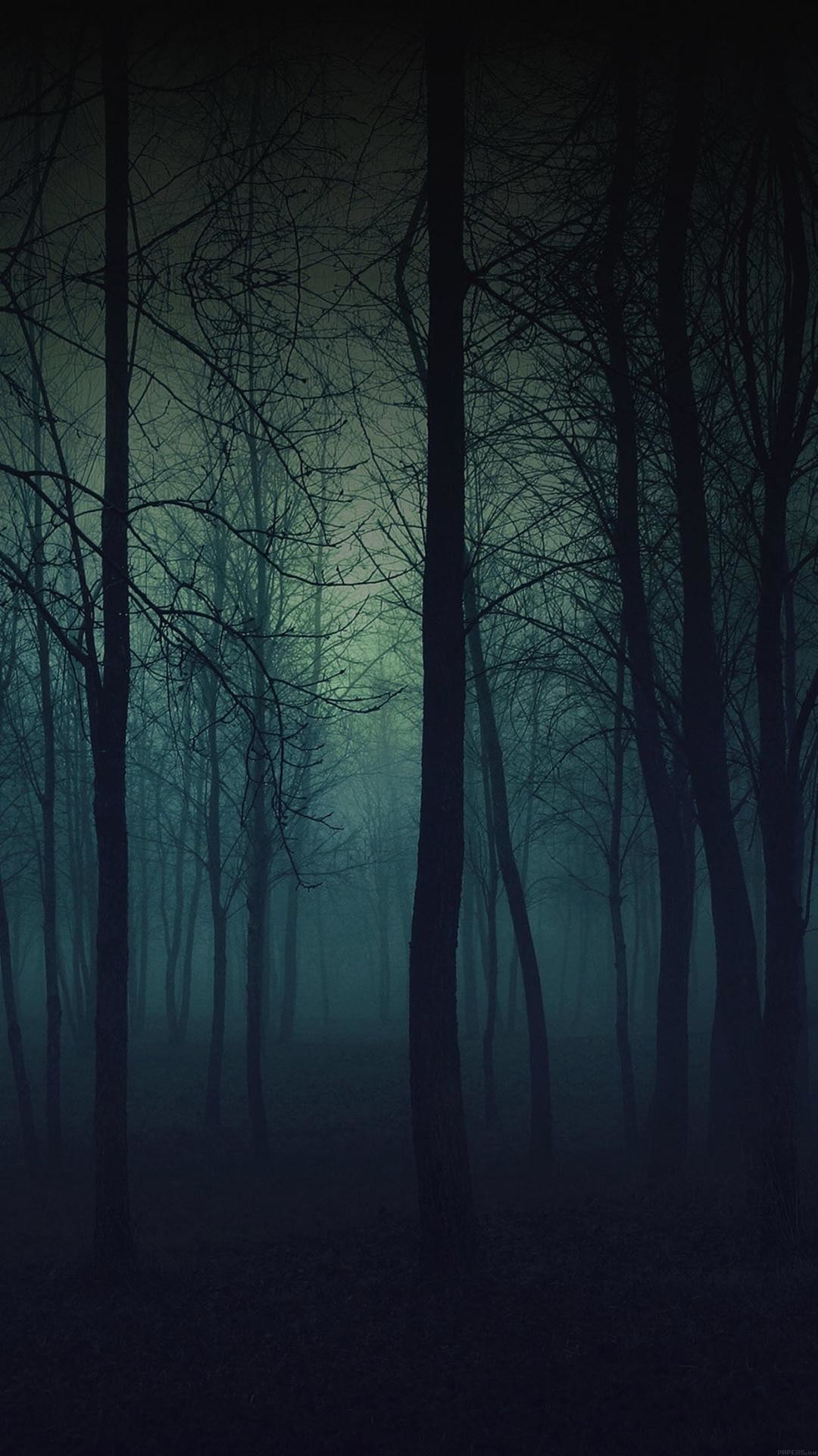 1080x1920 eerie-forest-night-iphone-6-plus-hd-wallpaper
