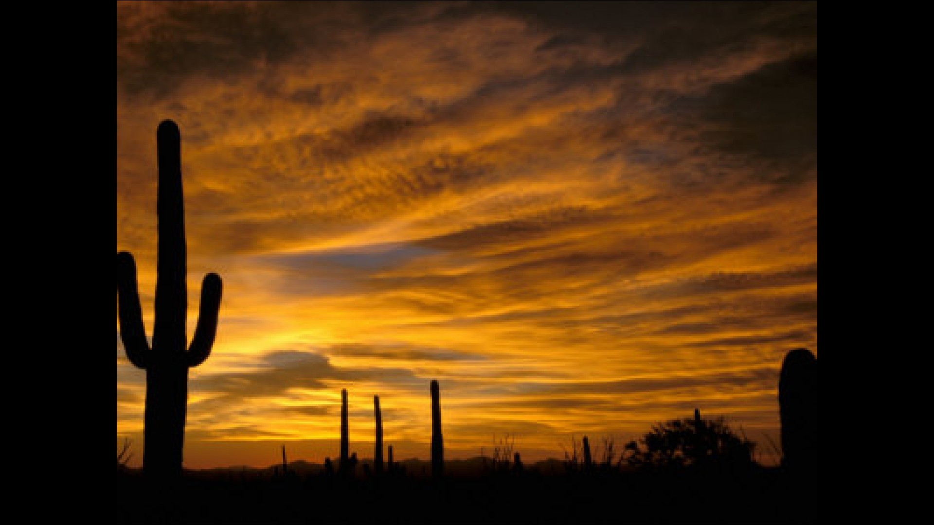 1920x1080 Sonoran-Desert-Sunset-HD-Wallpaper-Desktop