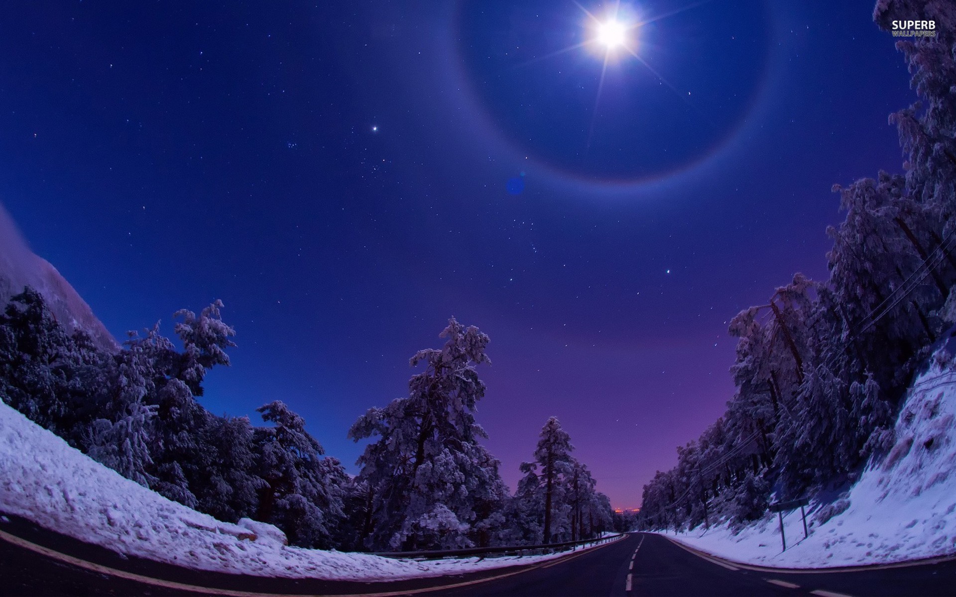 1920x1200 Night Star Road Trees Winter wallpapers and stock photos