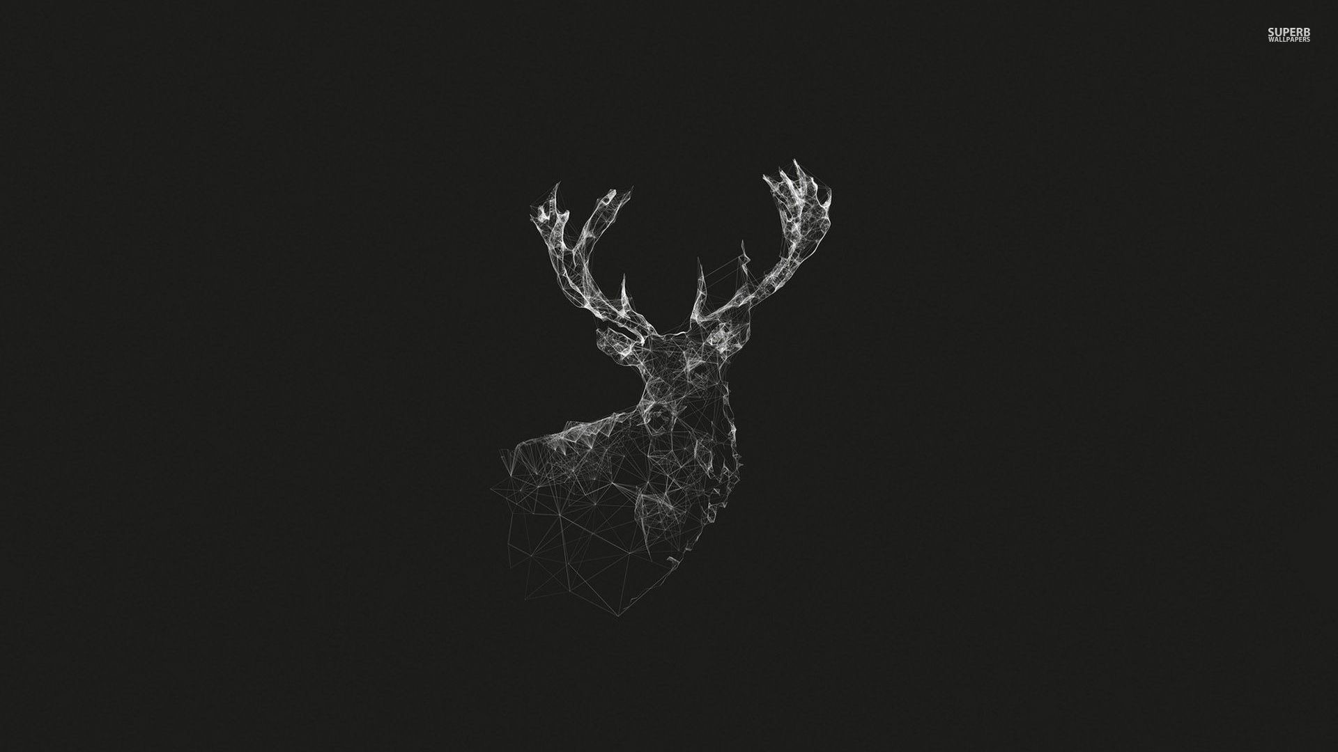 1920x1080 Stag Wallpaper