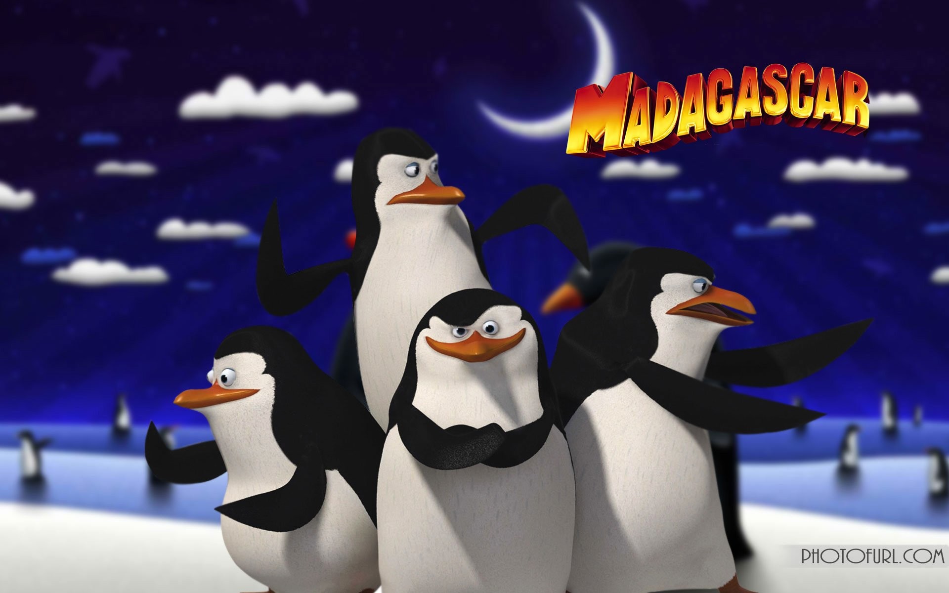 1920x1200 Penguin Of Madagascar