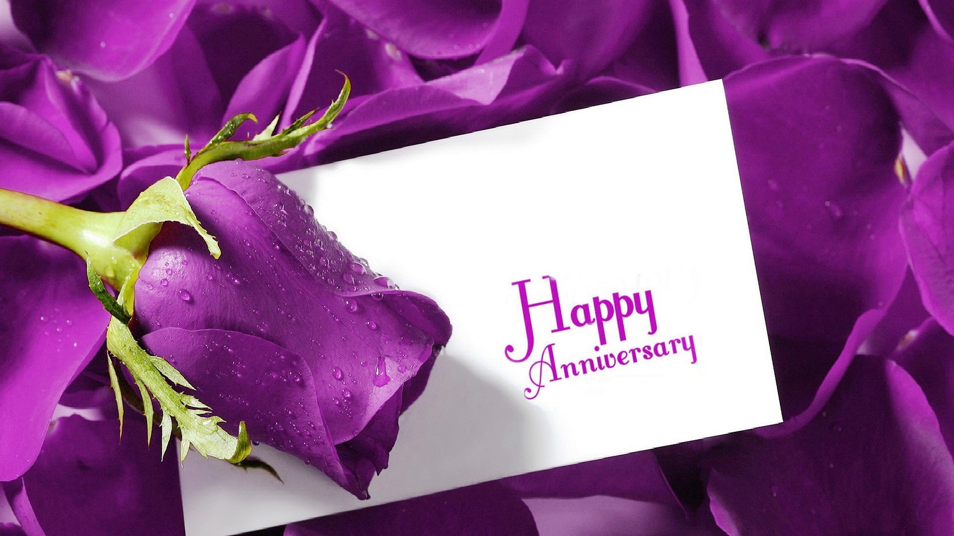 1920x1080 Happy Marriage Anniversary Flowers Wallpapers And Backgrounds