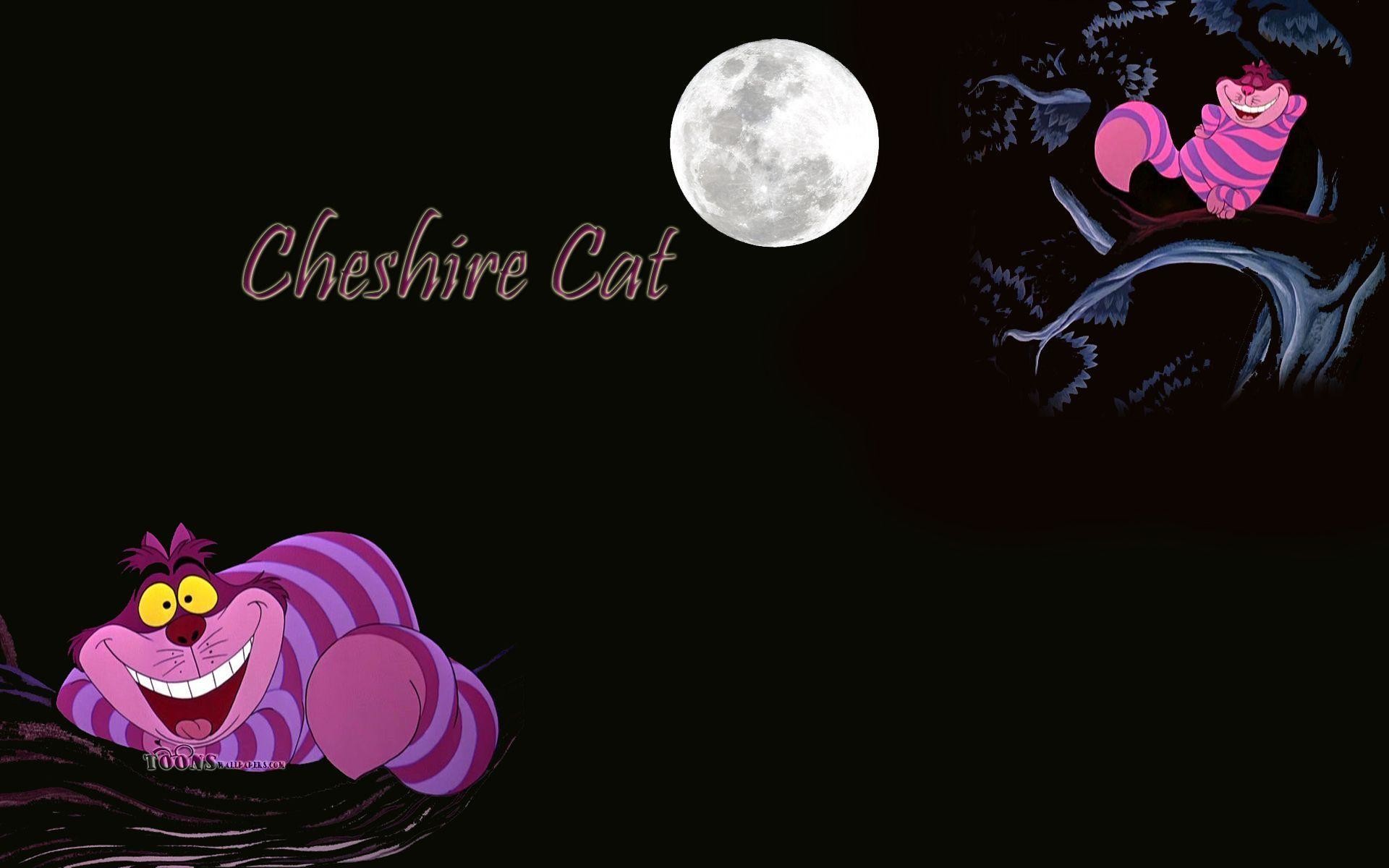 1920x1200 Cheshire Cat Wallpapers - Wallpaper Cave