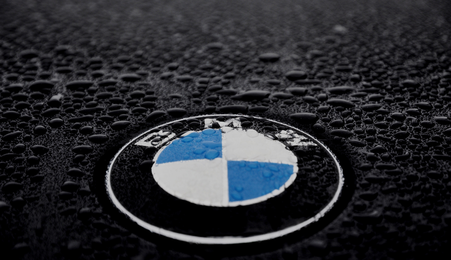 1920x1108 BMW Logo Desktop HD Wallpaper 58882