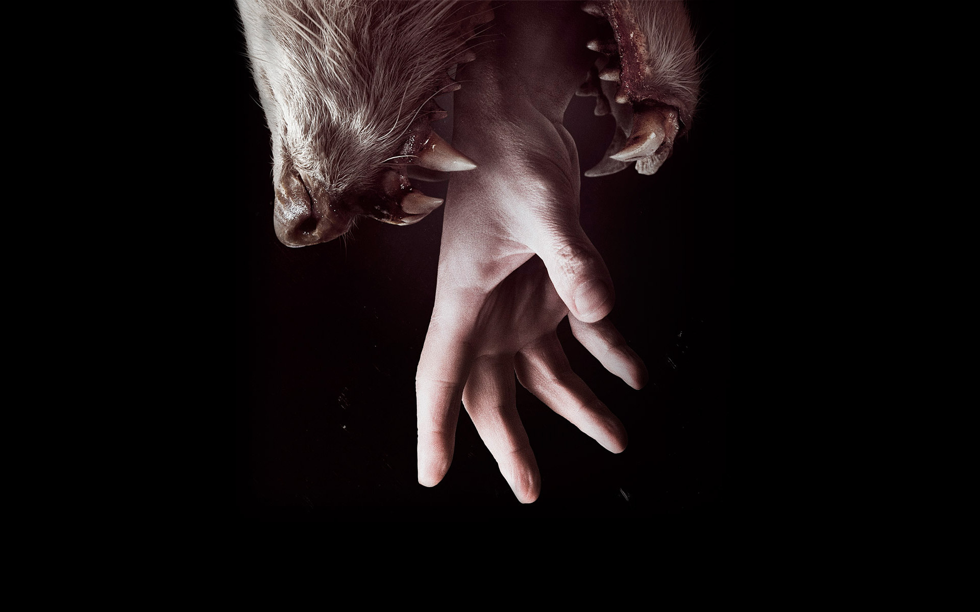 1920x1200 Hemlock Grove Hand Teeth Wolf Black Creepy Movies Horror Wallpaper At Dark  Wallpapers