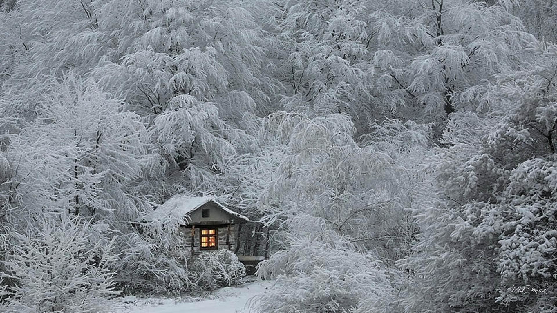 1920x1080 Tiny Cabin In The Woods