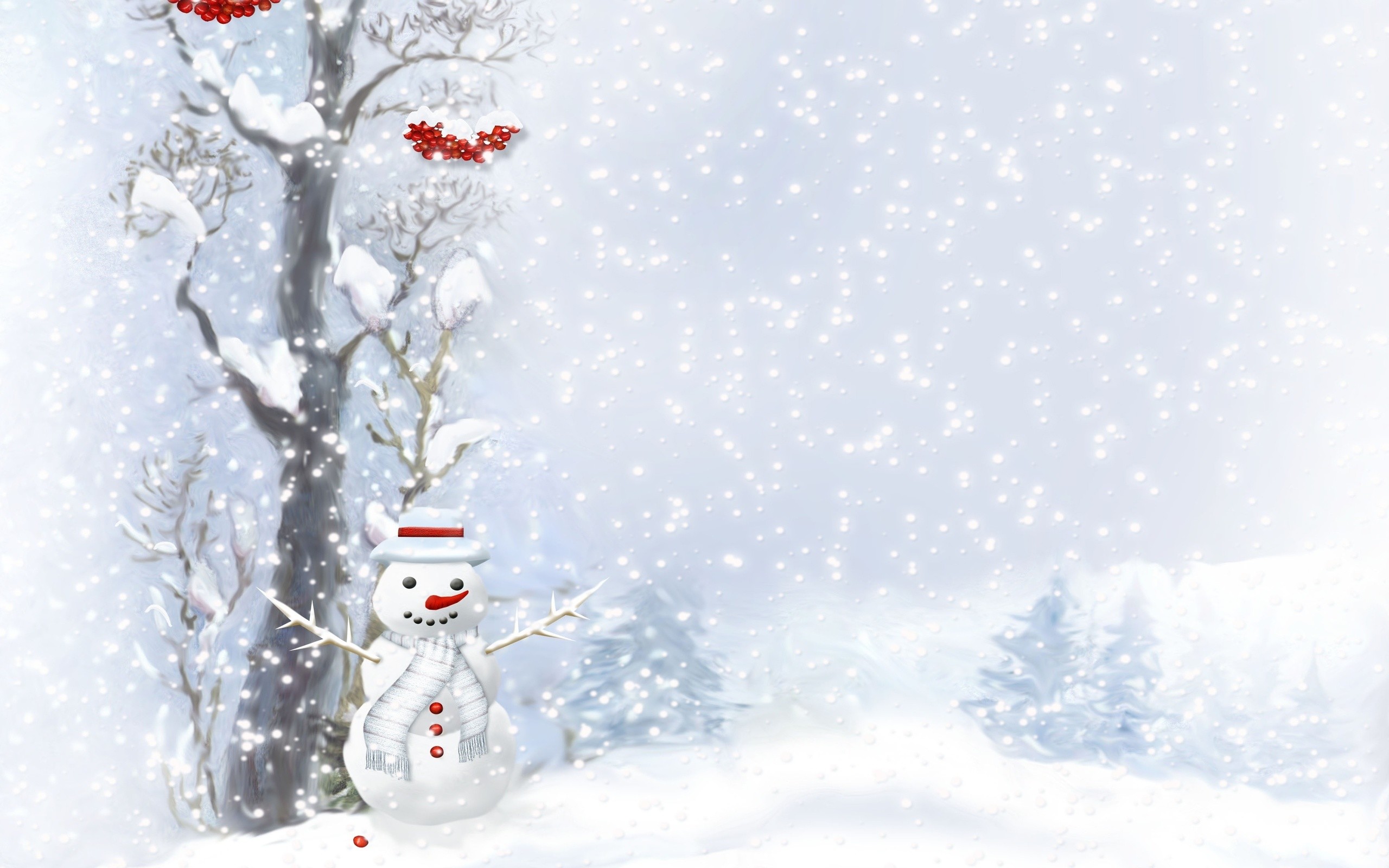 2560x1600 Snowman Widescreen Wallpaper
