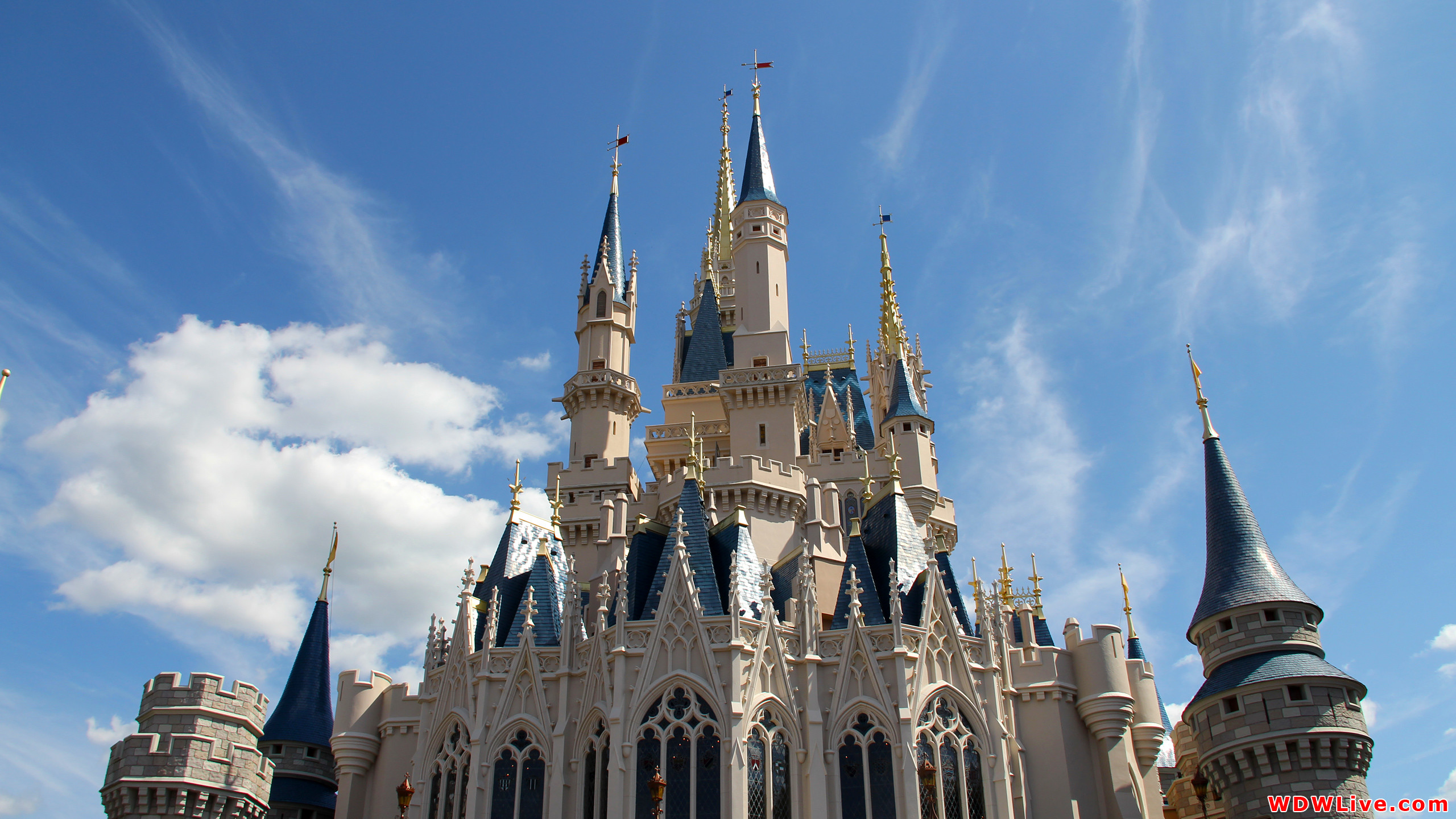 2560x1440 Download wallpaper Beautiful Cinderella Castle: Full ...