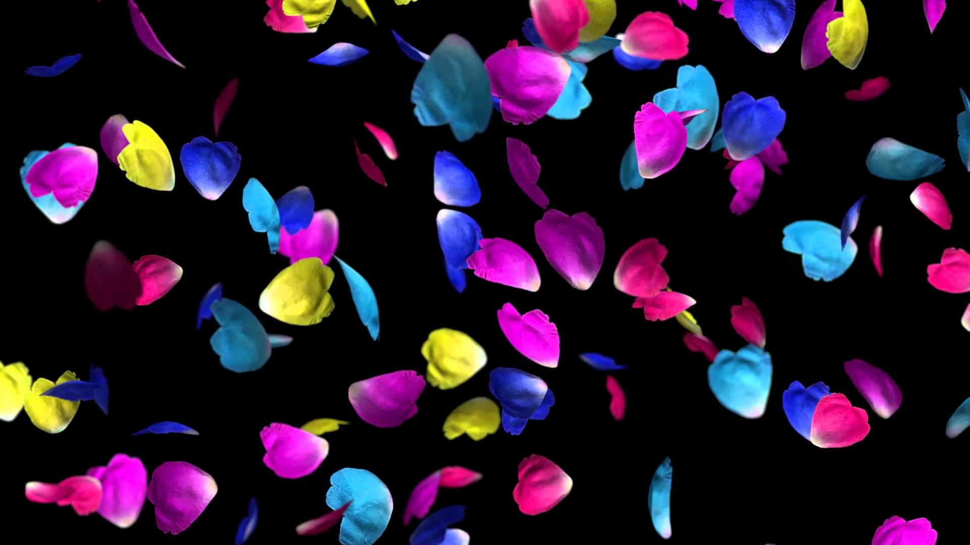 1920x1080 Free Colored Flower Falling Petals - wedding background full HD - YouTube