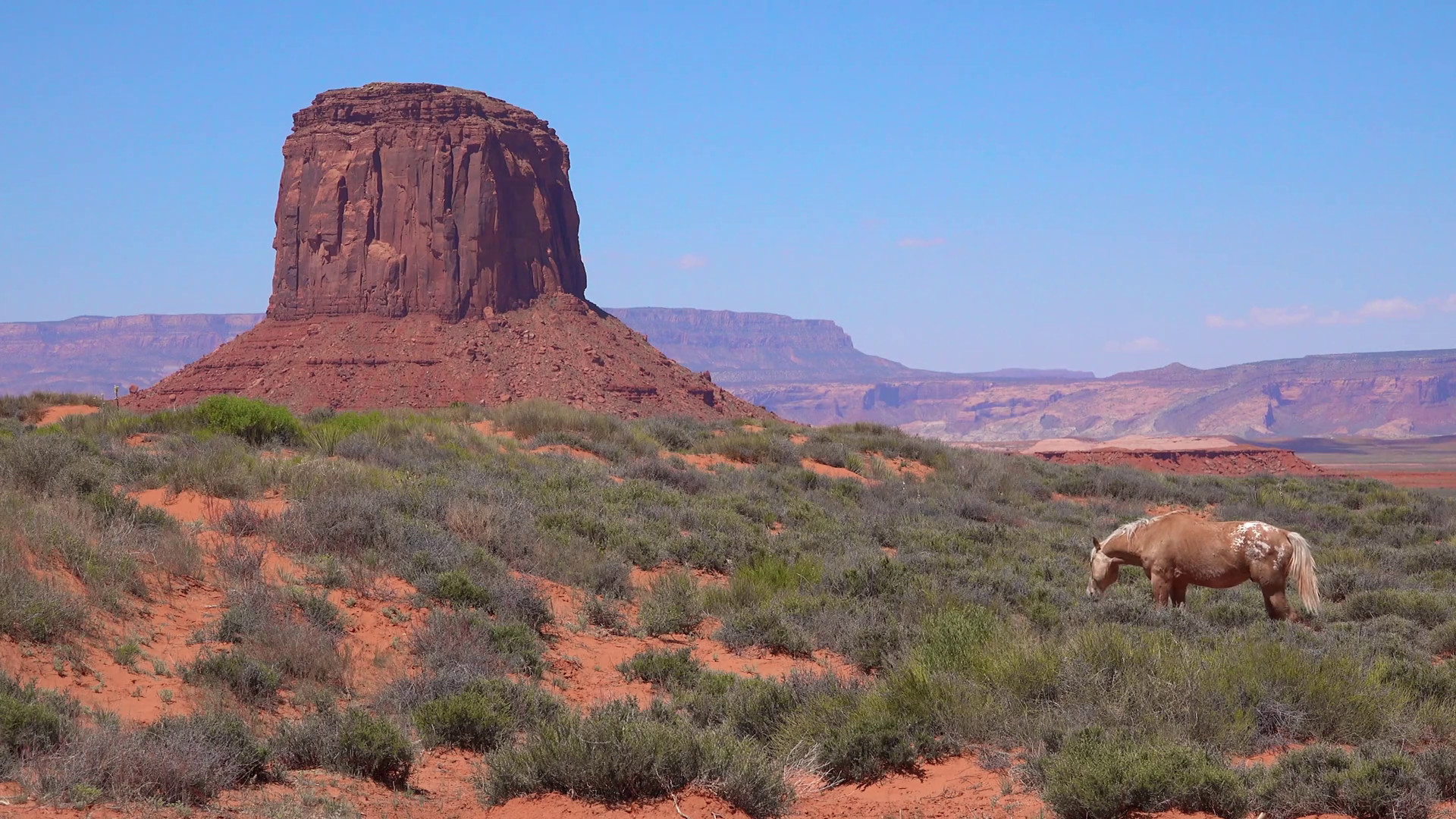 1920x1080 Horses graze with the natural beauty of Monument Valley Utah in the  background. Stock Video Footage - Storyblocks Video