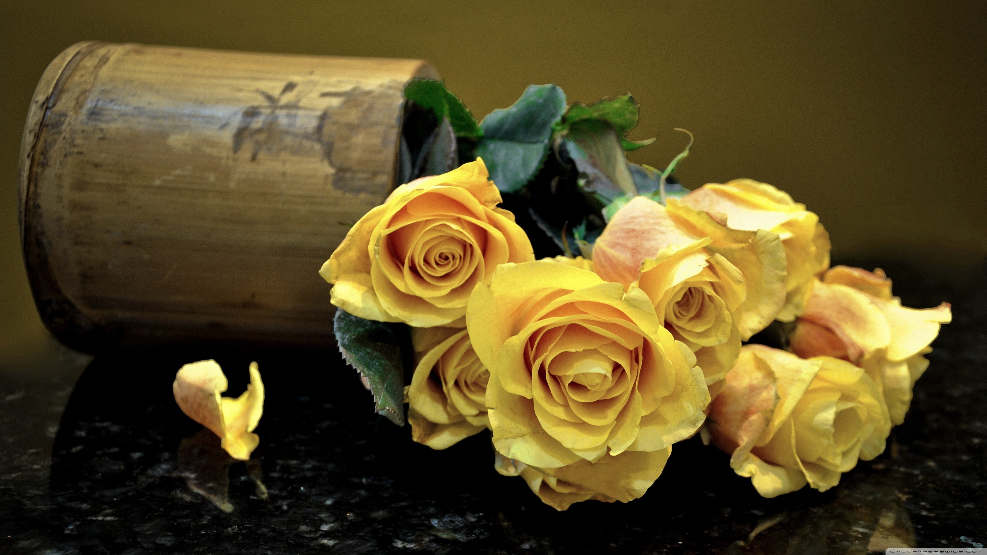3840x2160 Yellow Roses wallpapers