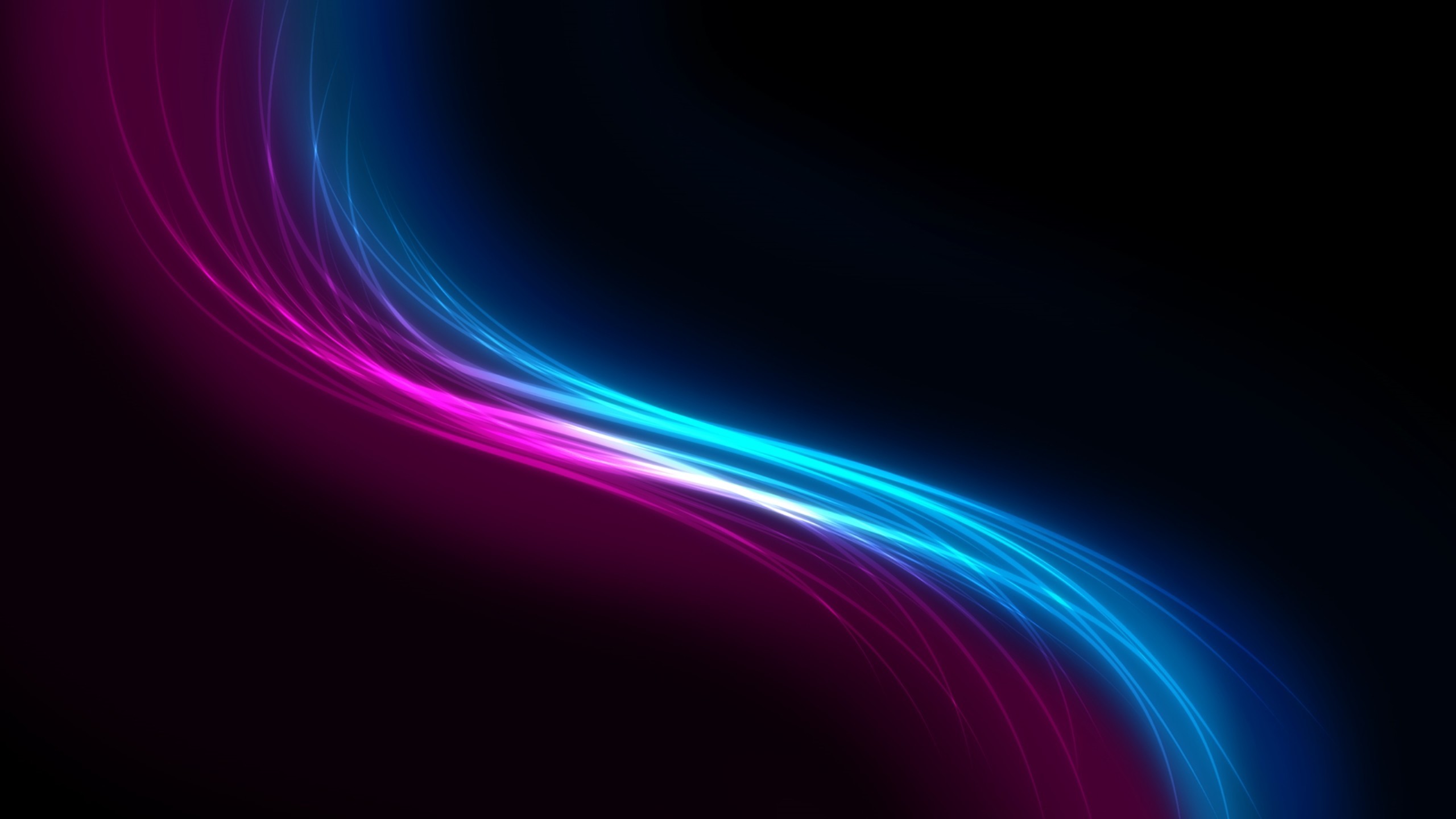 2560x1440 Siluet black pink and blue light abstract | HD Wallpapers