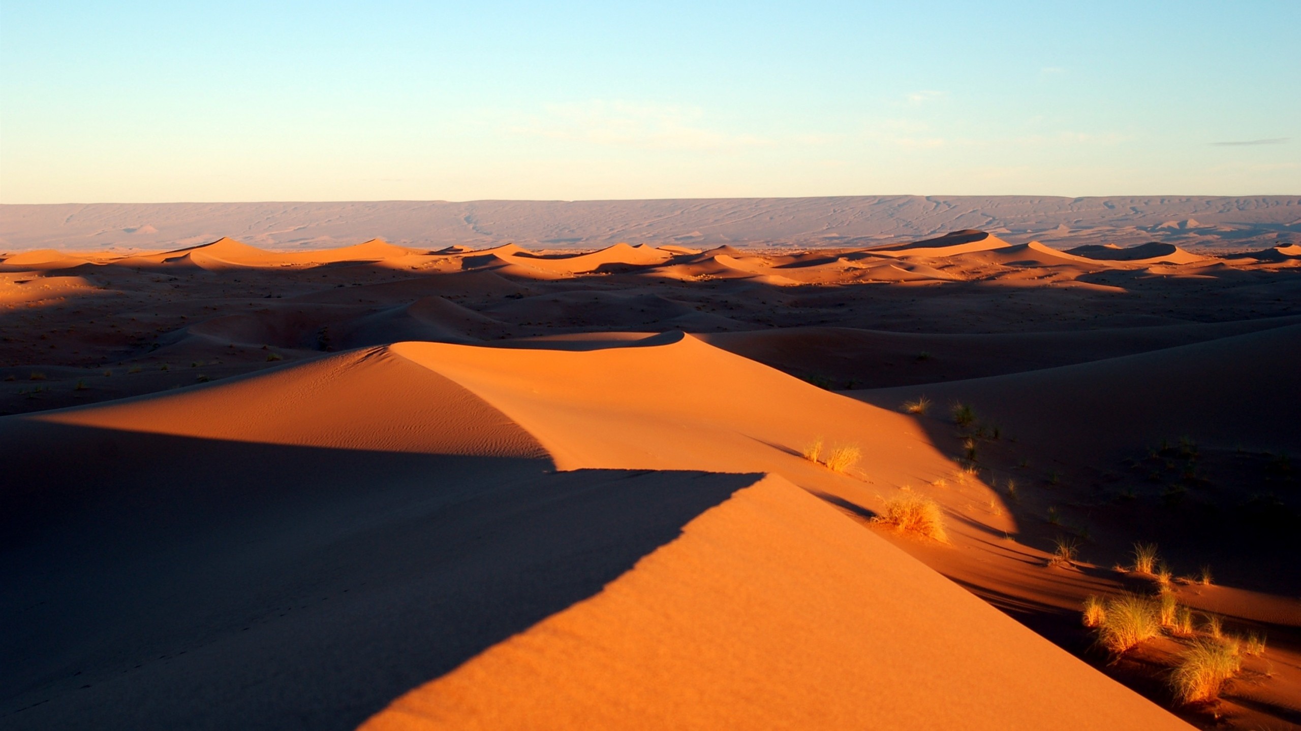 2560x1440 Preview wallpaper morocco, africa, desert, sand, sky 