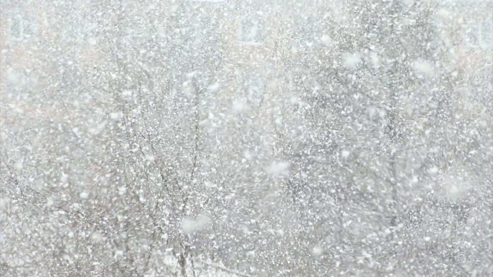 1920x1080 Real Snow Background, large flakes of snow create a winter background