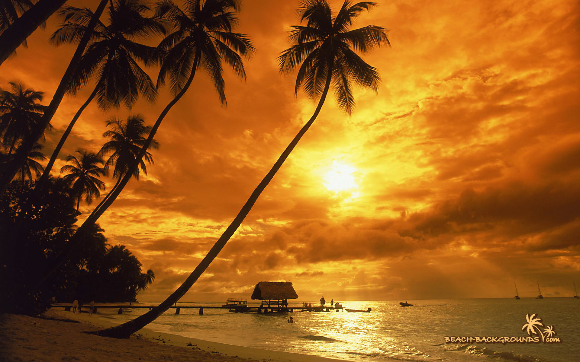 1920x1200 Tropical Island Sunset Photos