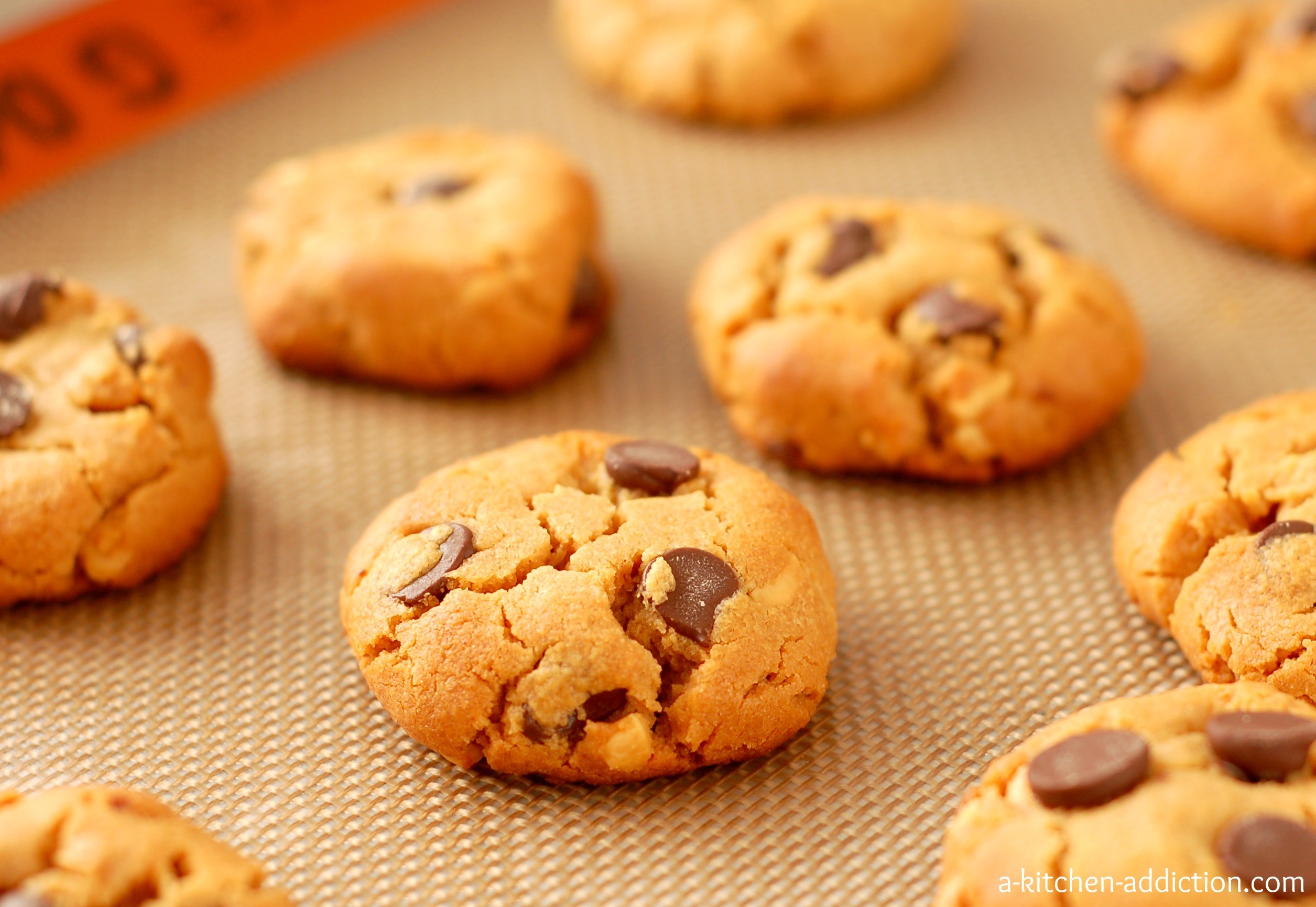 2511x1730 Peanut Butter Chocolate Chip Cookies Wallpapers