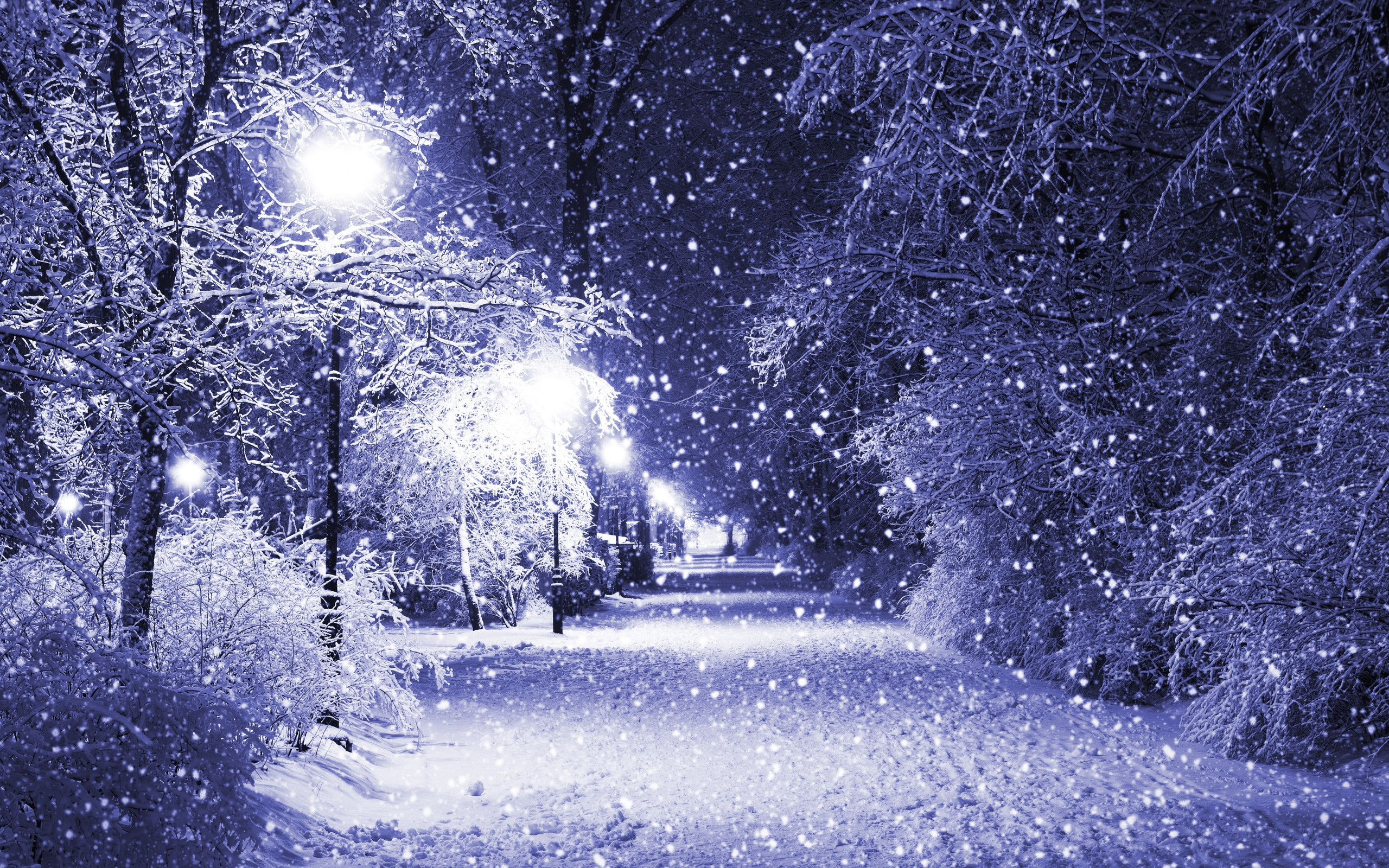 2560x1600 Winter Wonderland Wallpaper Wallpaper winter wonderland Source Â· purple snow