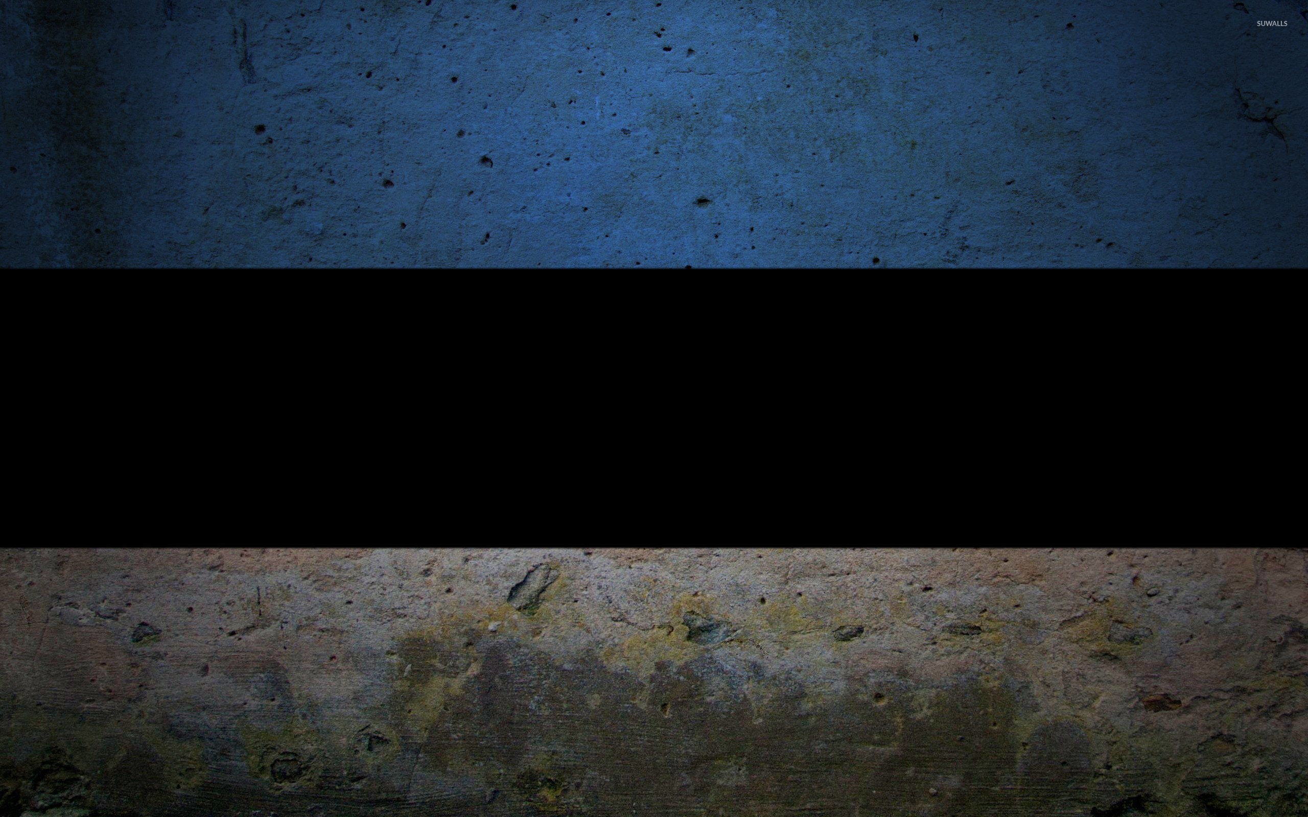 2560x1600 Flag of Estonia wallpaper  jpg