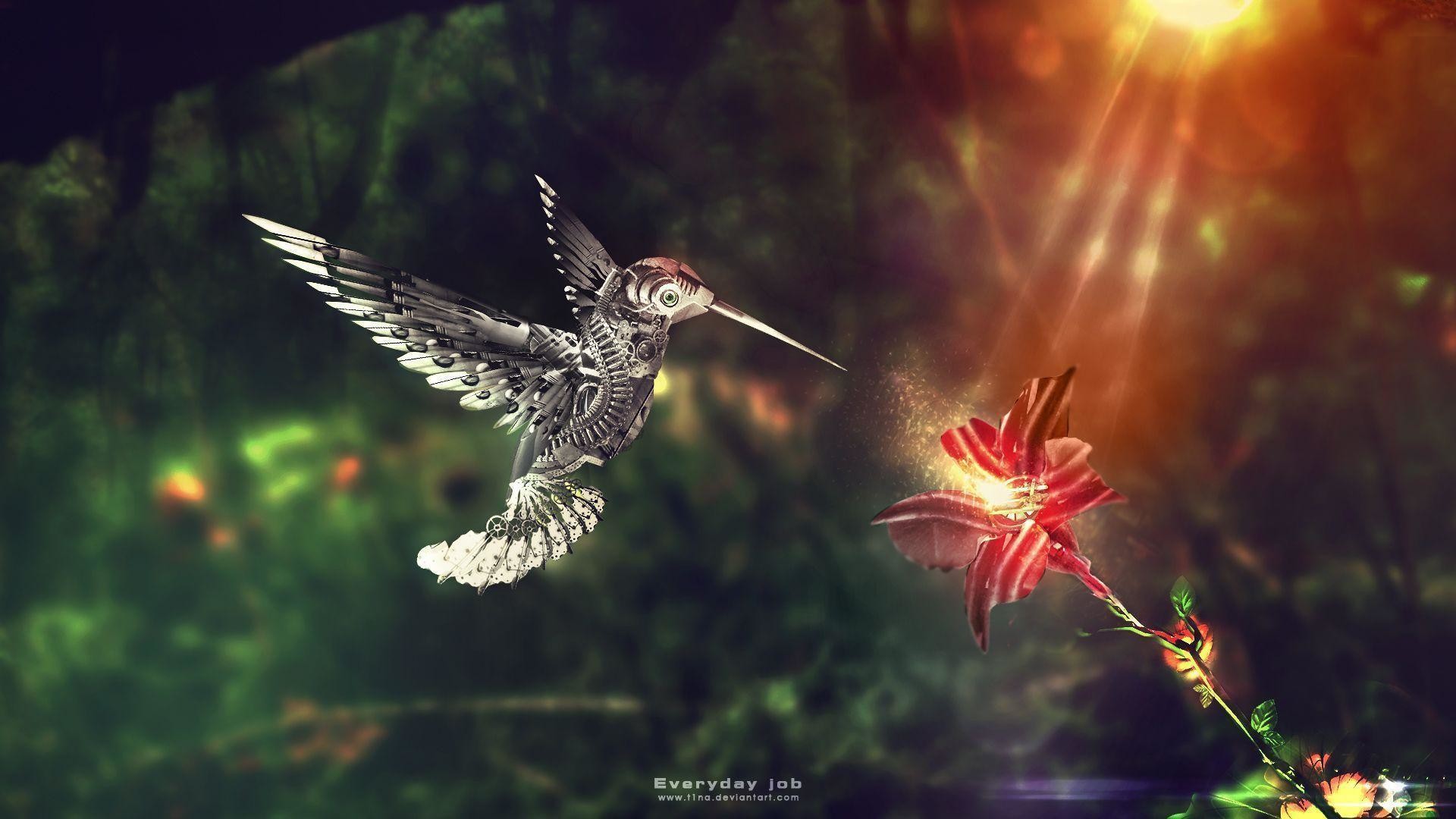 1920x1080 Wallpapers For > Moving Hummingbird Wallpaper