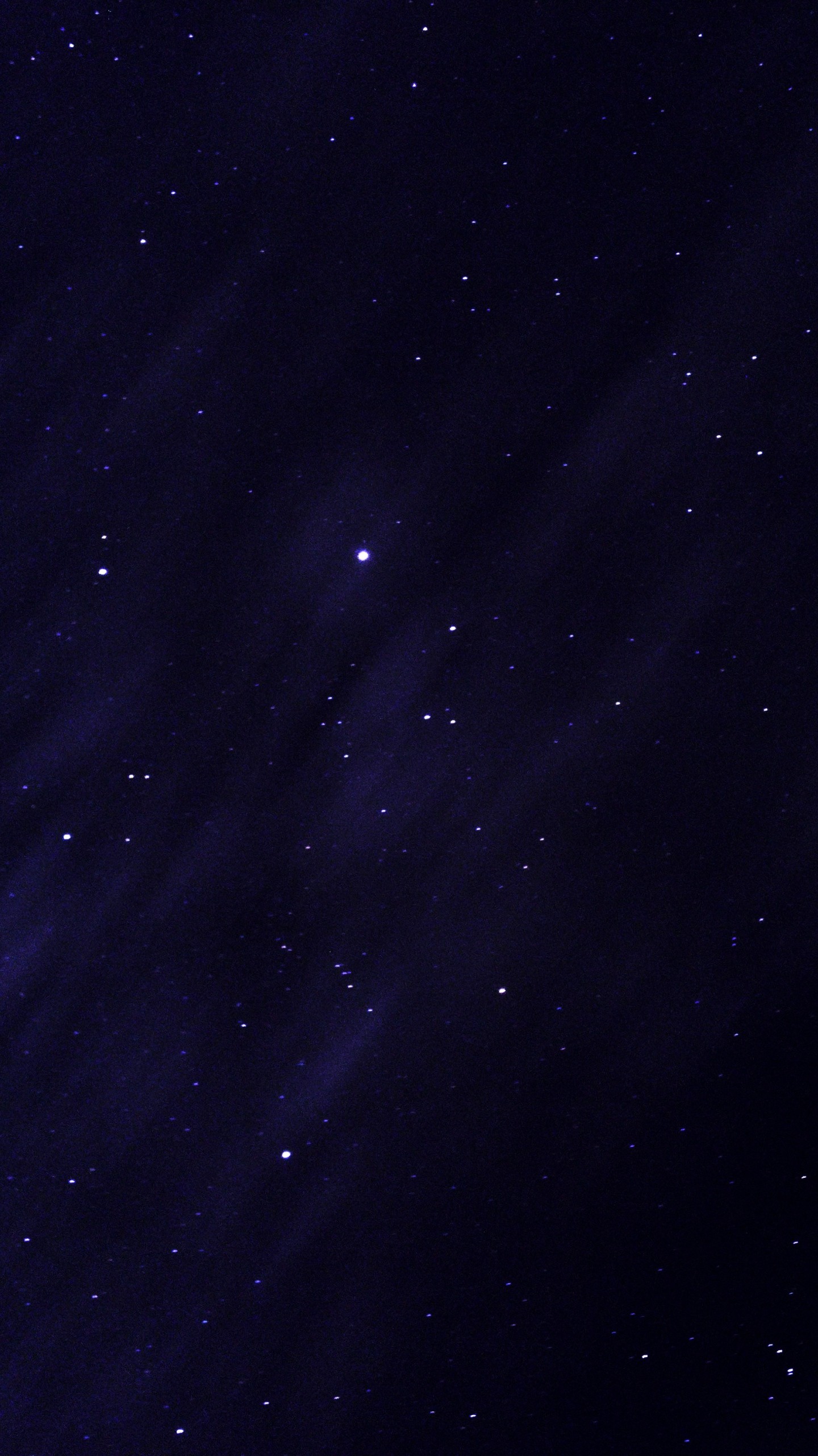 1440x2560  Wallpaper starry sky, stars, night, glitter