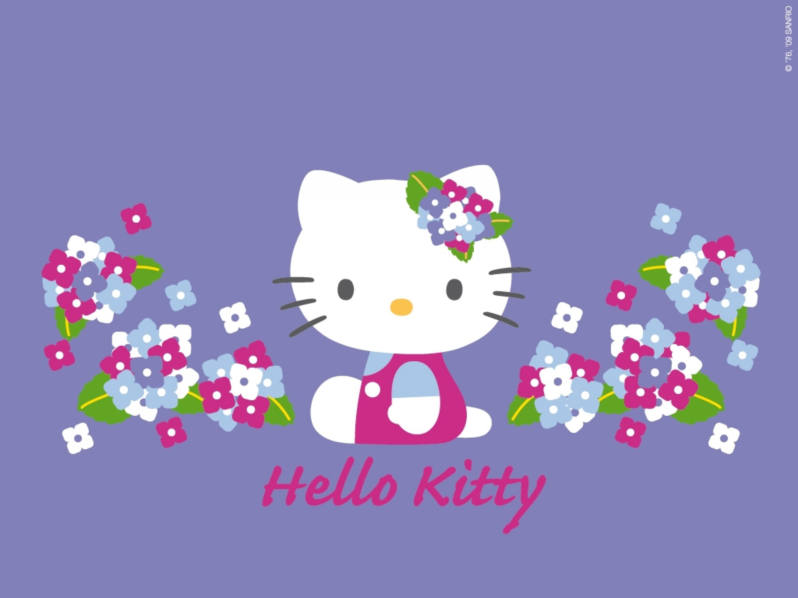 2560x1920 Hello Kitty Nerd Wallpaper