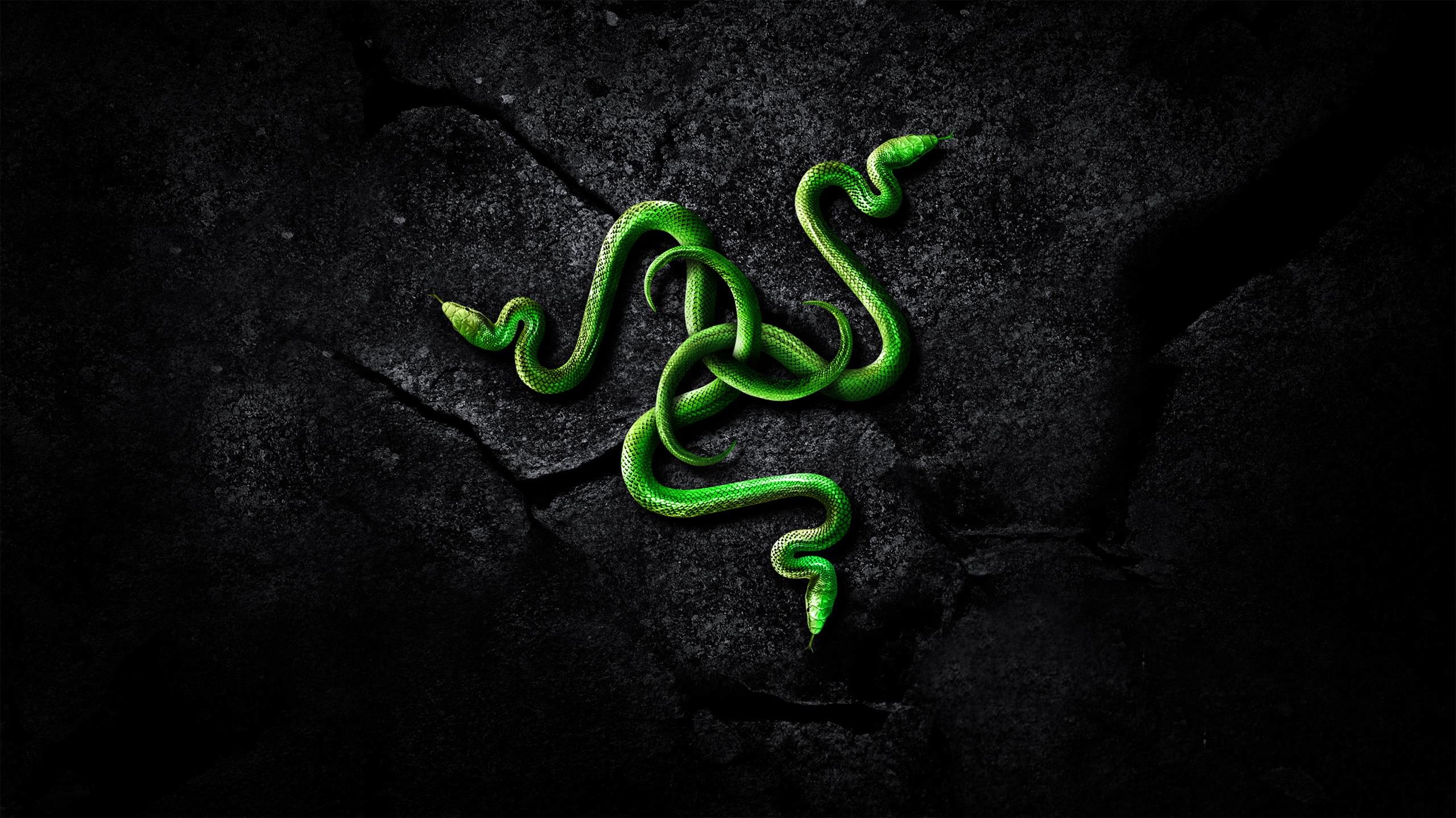 2560x1440 Pin Your Razer Logo Pagesoqgt Bluepost Desktop Background Gaming 1 .