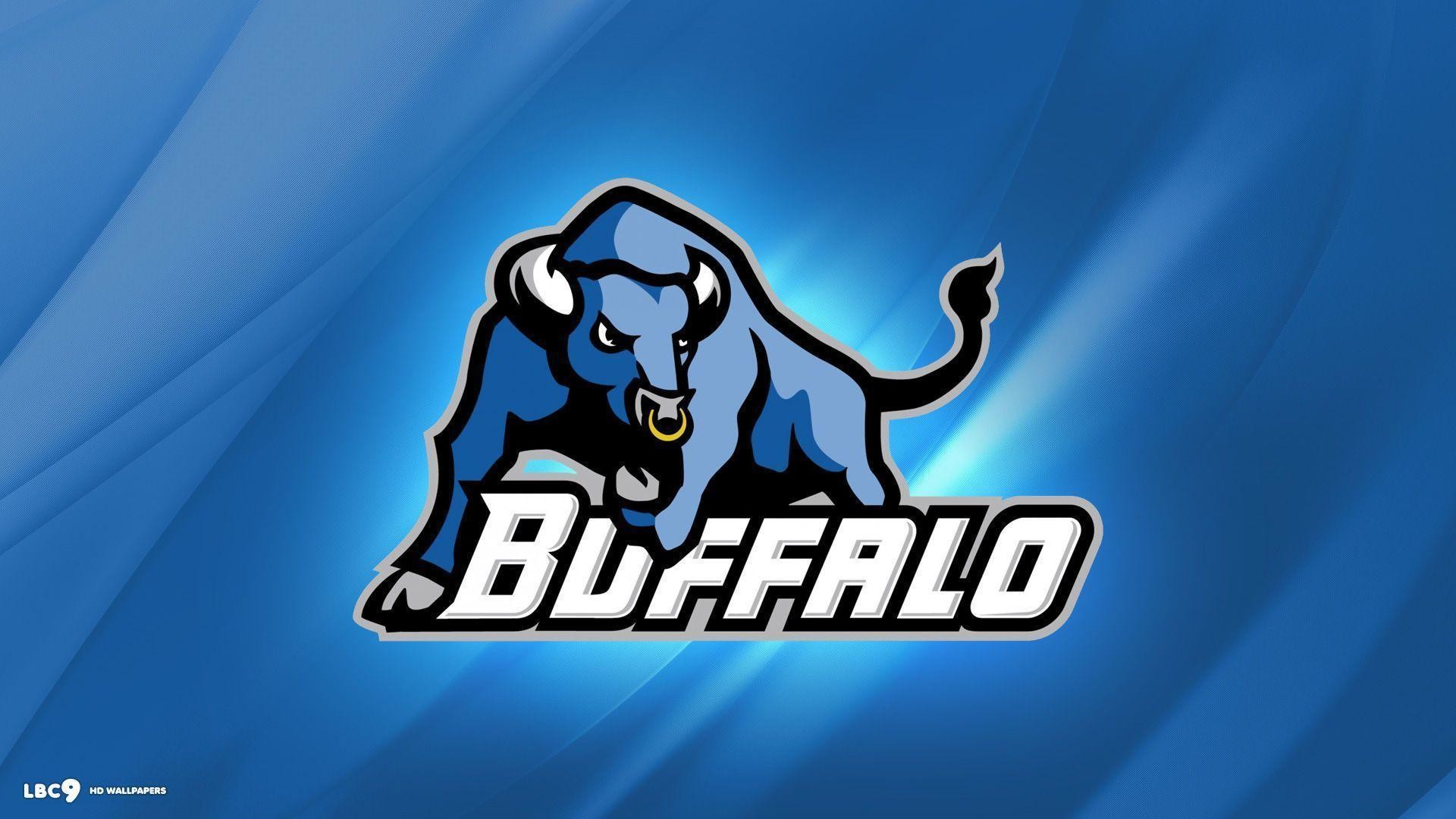 1920x1080 buffalo bulls wallpaper 1/1 | college athletics hd backgrounds