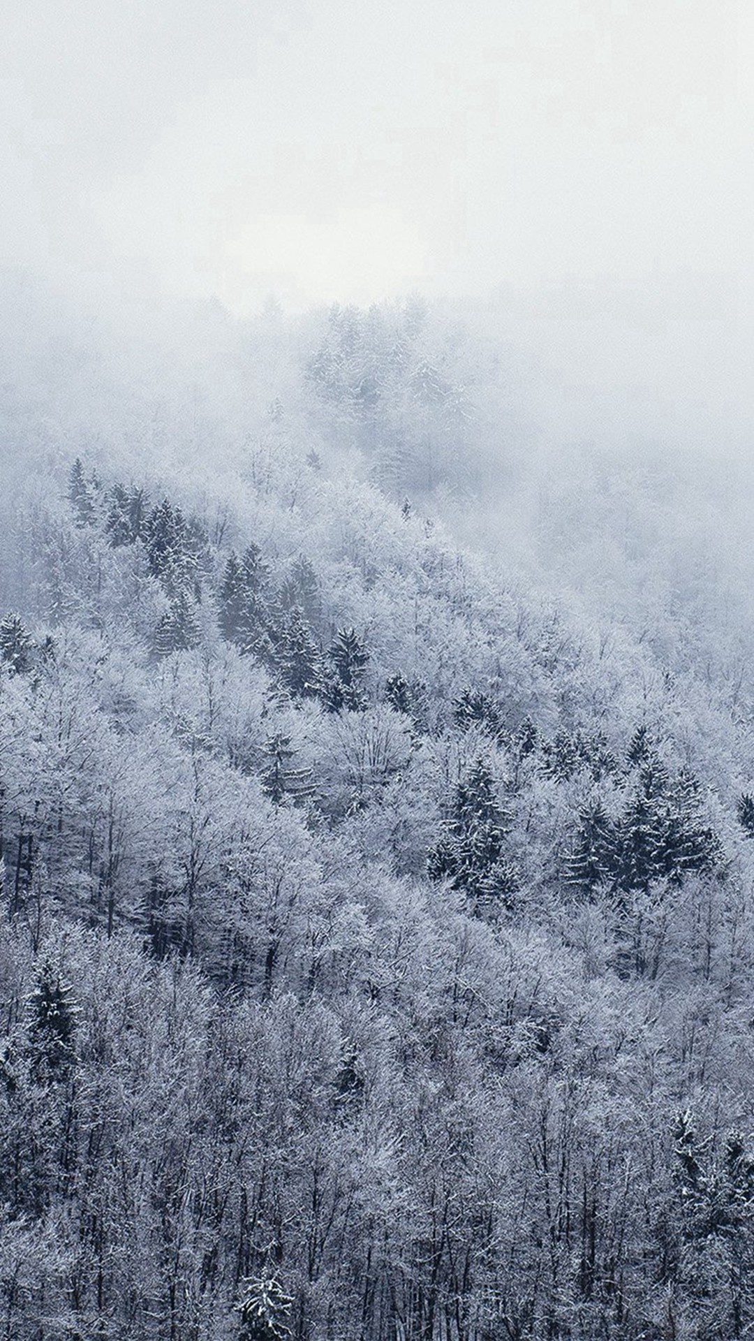 1080x1920 Mountain Wood Winter Christmas White iPhone 8 wallpaper