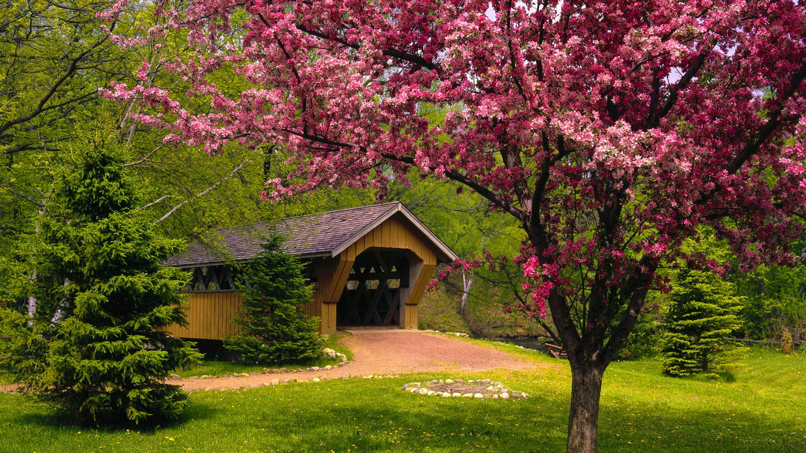 2560x1440 google images springtime wallpaper Covered Bridge in Springtime Full HD  Wallpaper and Background Image  ID