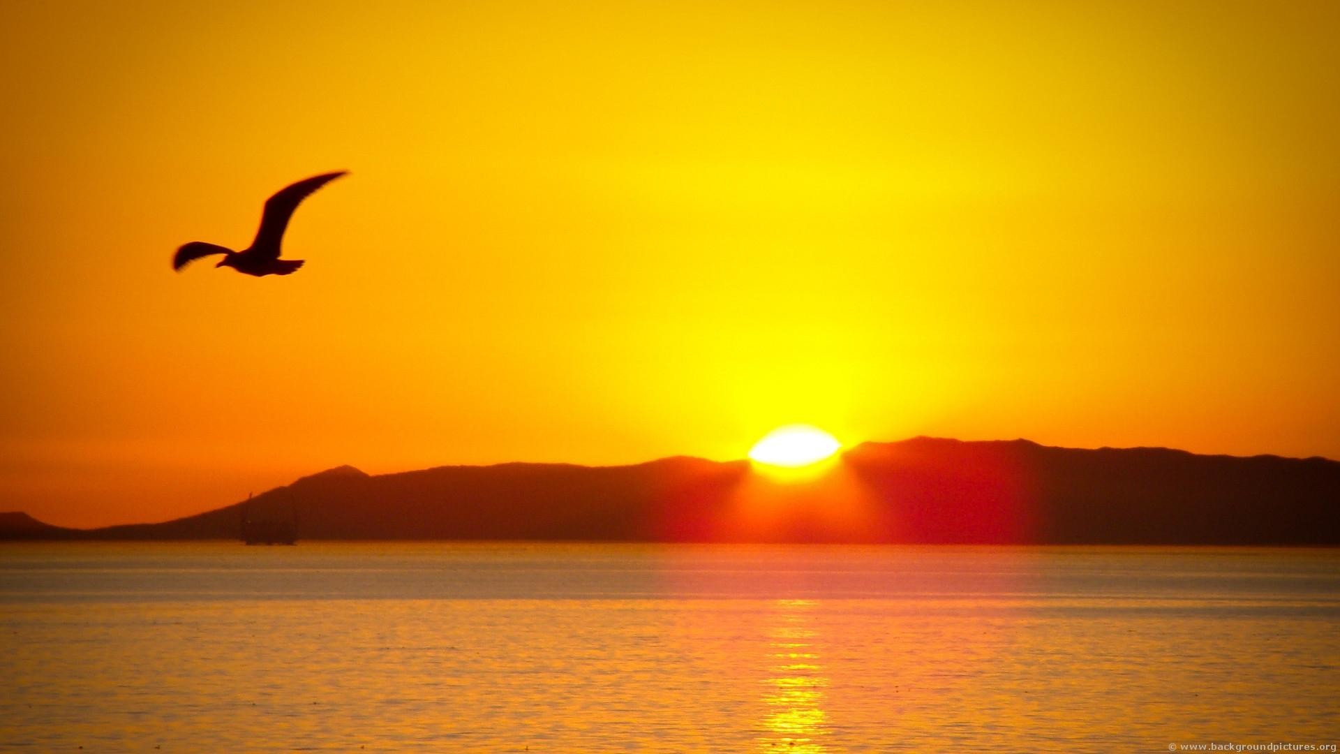 1920x1080 Beautiful Sunrise on Sea Wallpapers HD images