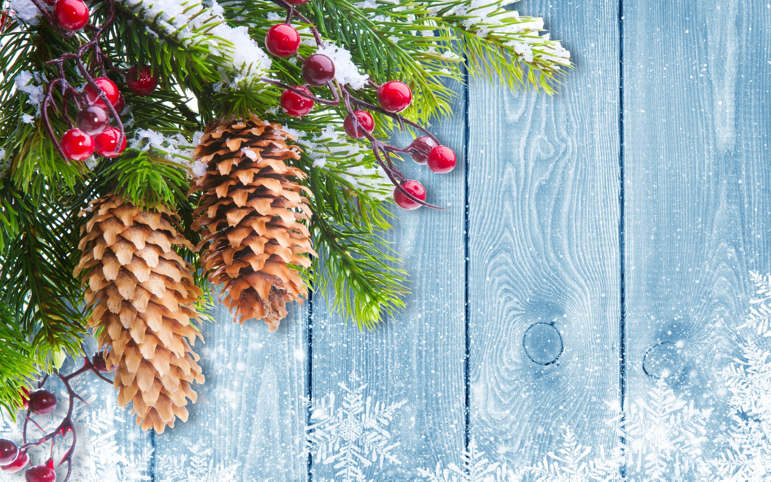 2560x1600 Christmas Tree Branch Mistletoe Desktop Wallpaper Uploaded by DesktopWalls