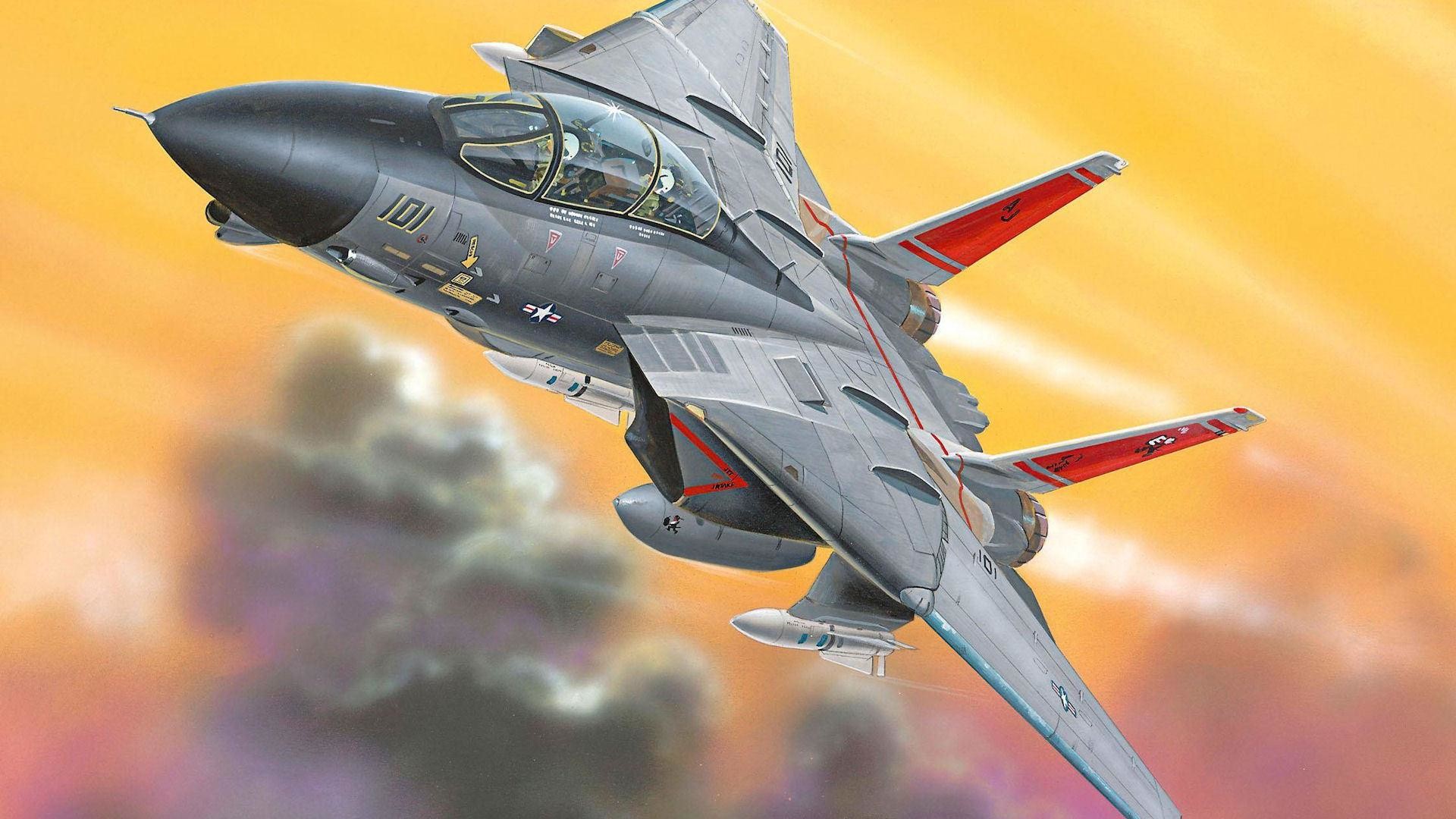 1920x1080 Grumman F-14 Tomcat wallpapers for android