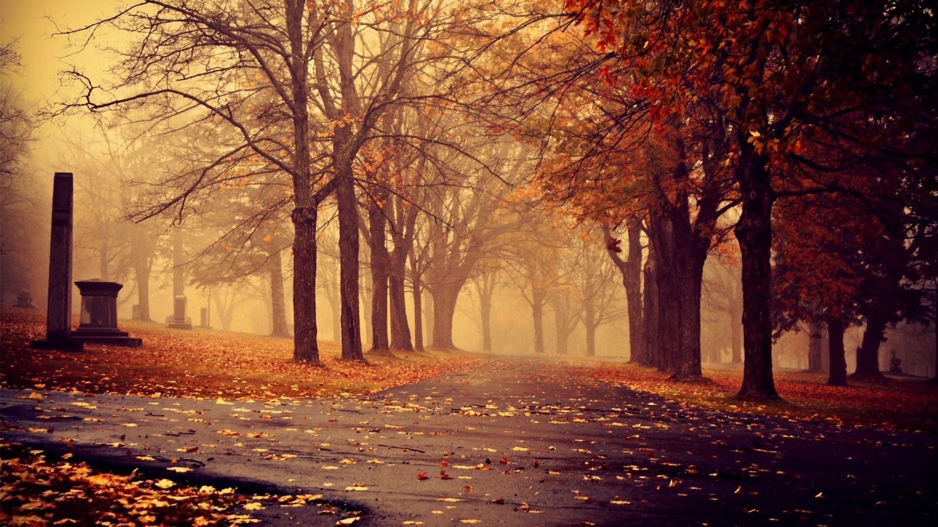 1920x1080 71 fall backgrounds tumblr aÂ·a' download free cool hd backgrounds