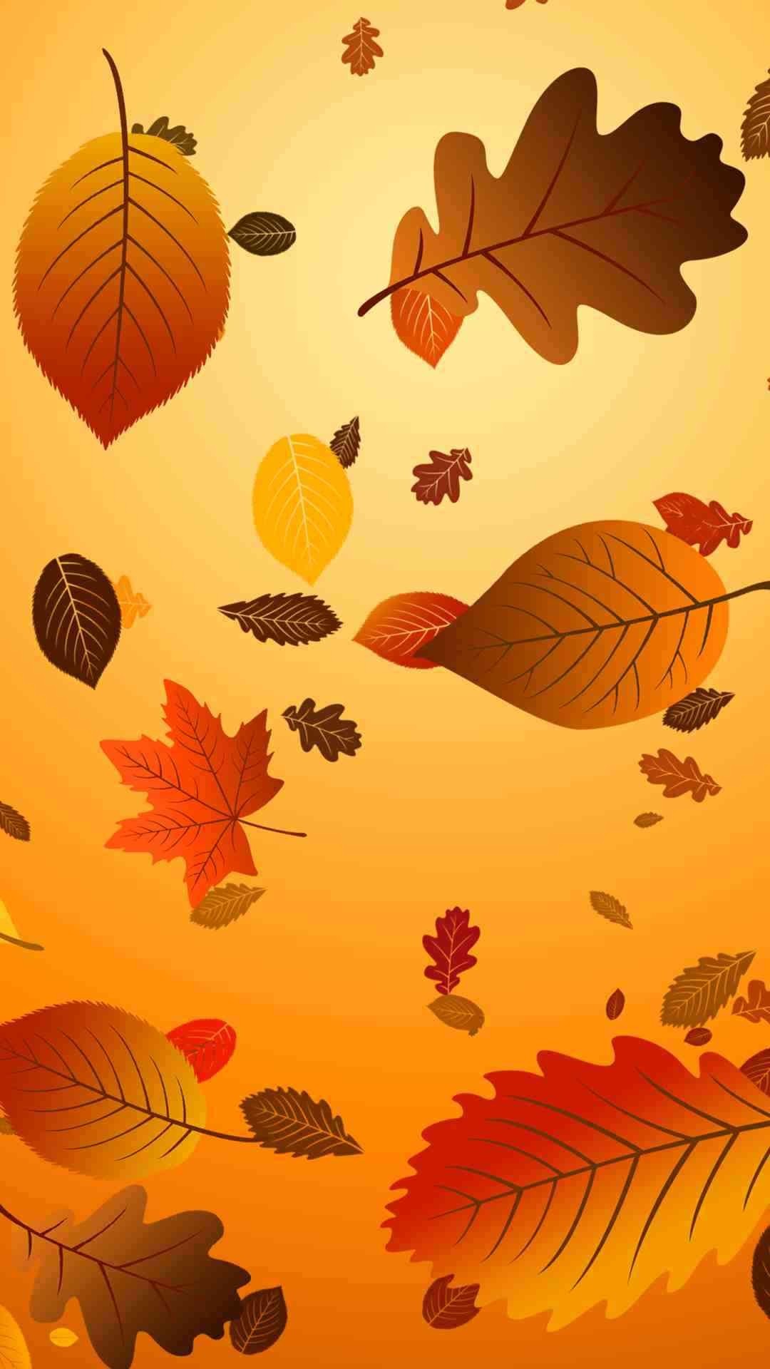 1080x1920 Which 2015 Thanksgiving iphone 6 plus wallpaper do you like ? - Fashion Blog