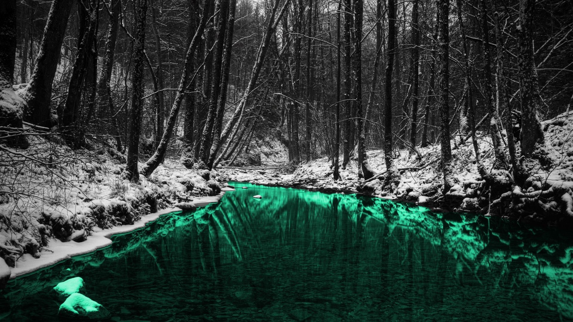 1920x1080 Emerald colored forest river HD Wallpaper 