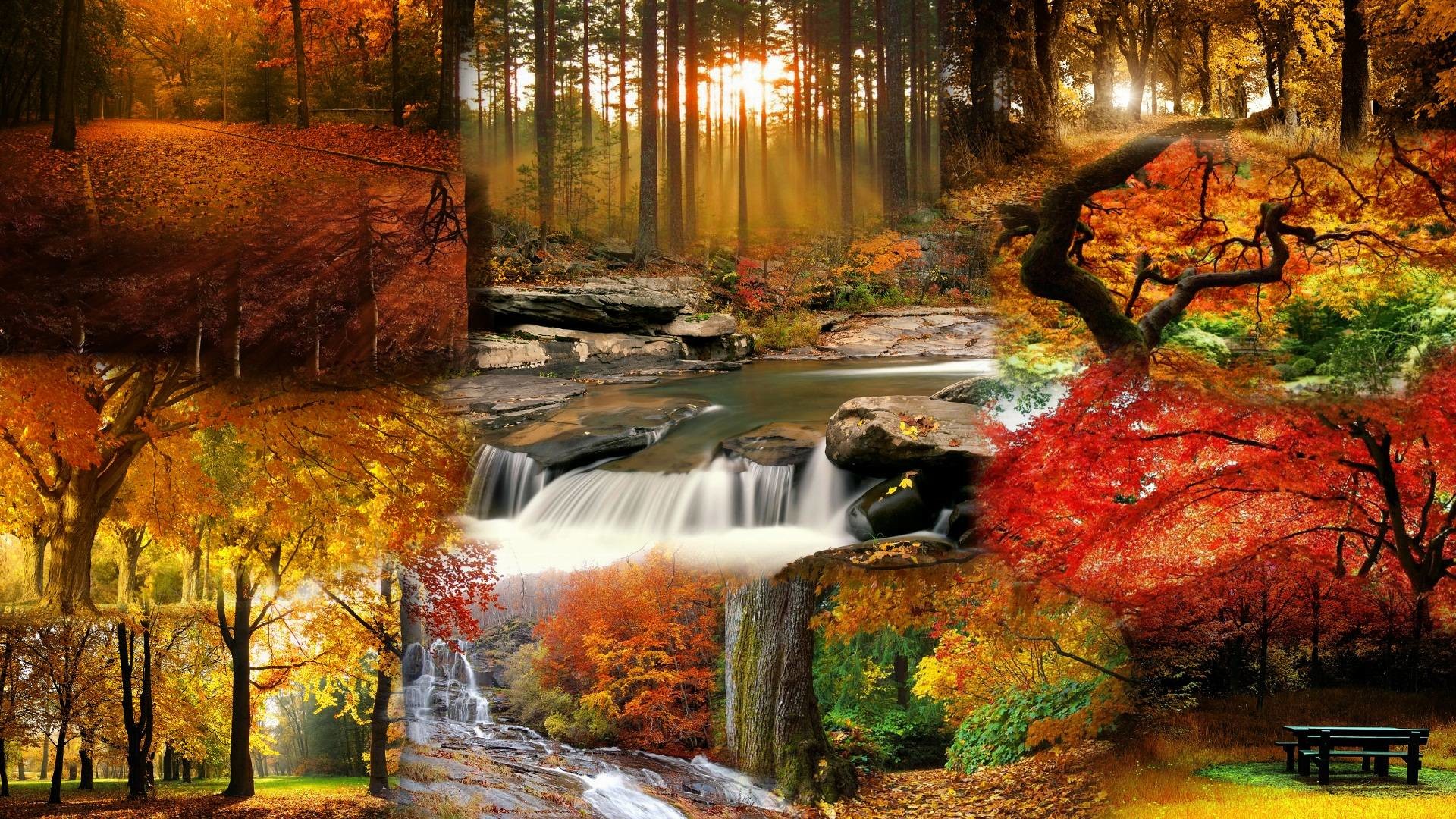 1920x1080 Beautiful Fall Landscape Wallpaper - Tera Wallpaper