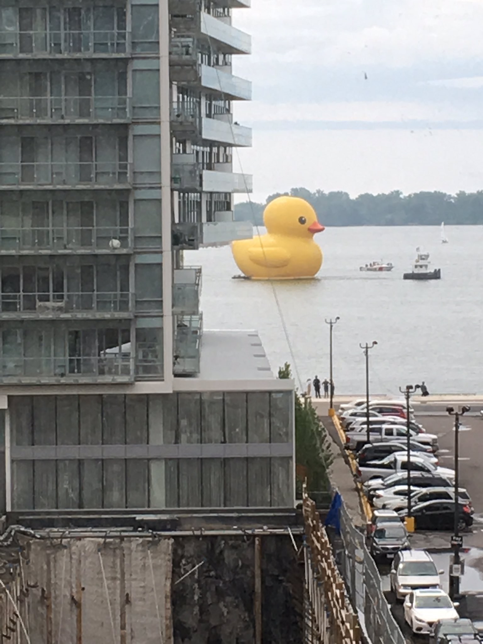 1536x2048 Giant rubber duck on Lake Ontario ! #toronto #rubberduck #Canada150 https:/