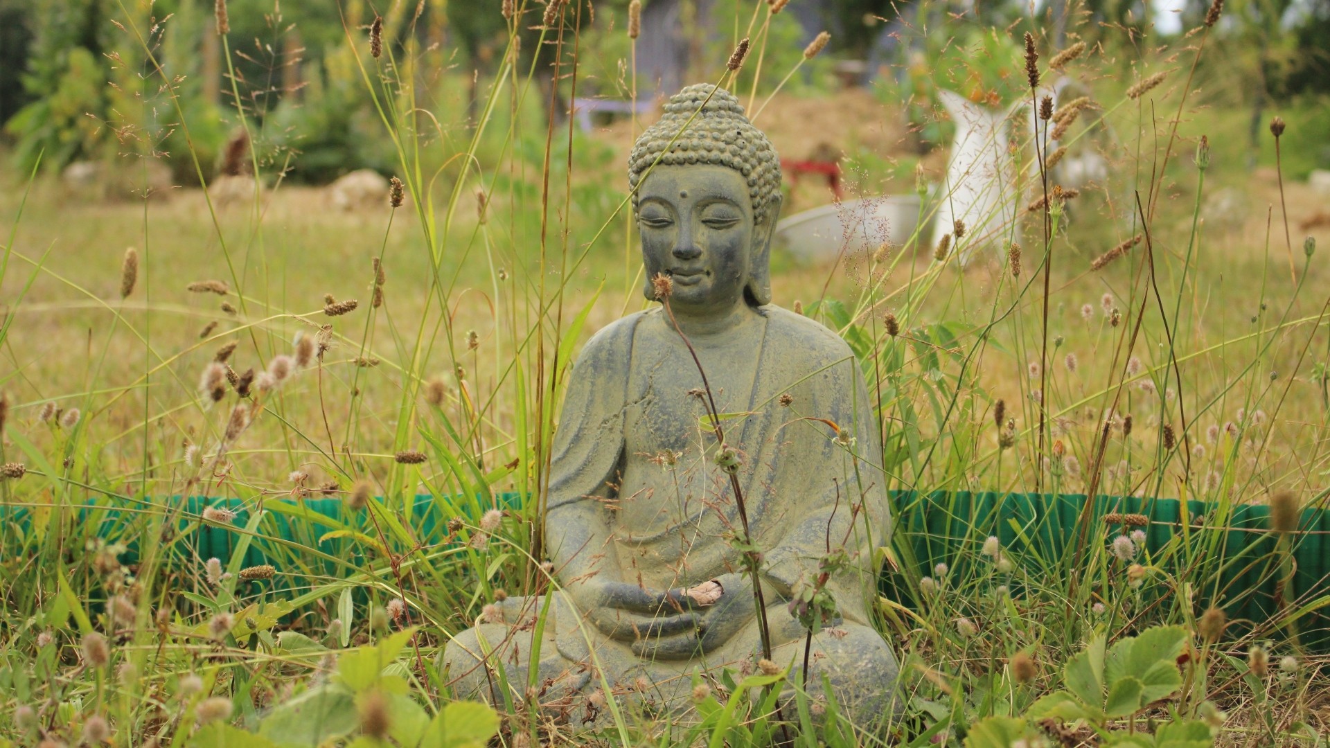 1920x1080  Wallpaper buddha, buddhism, meditation, grass