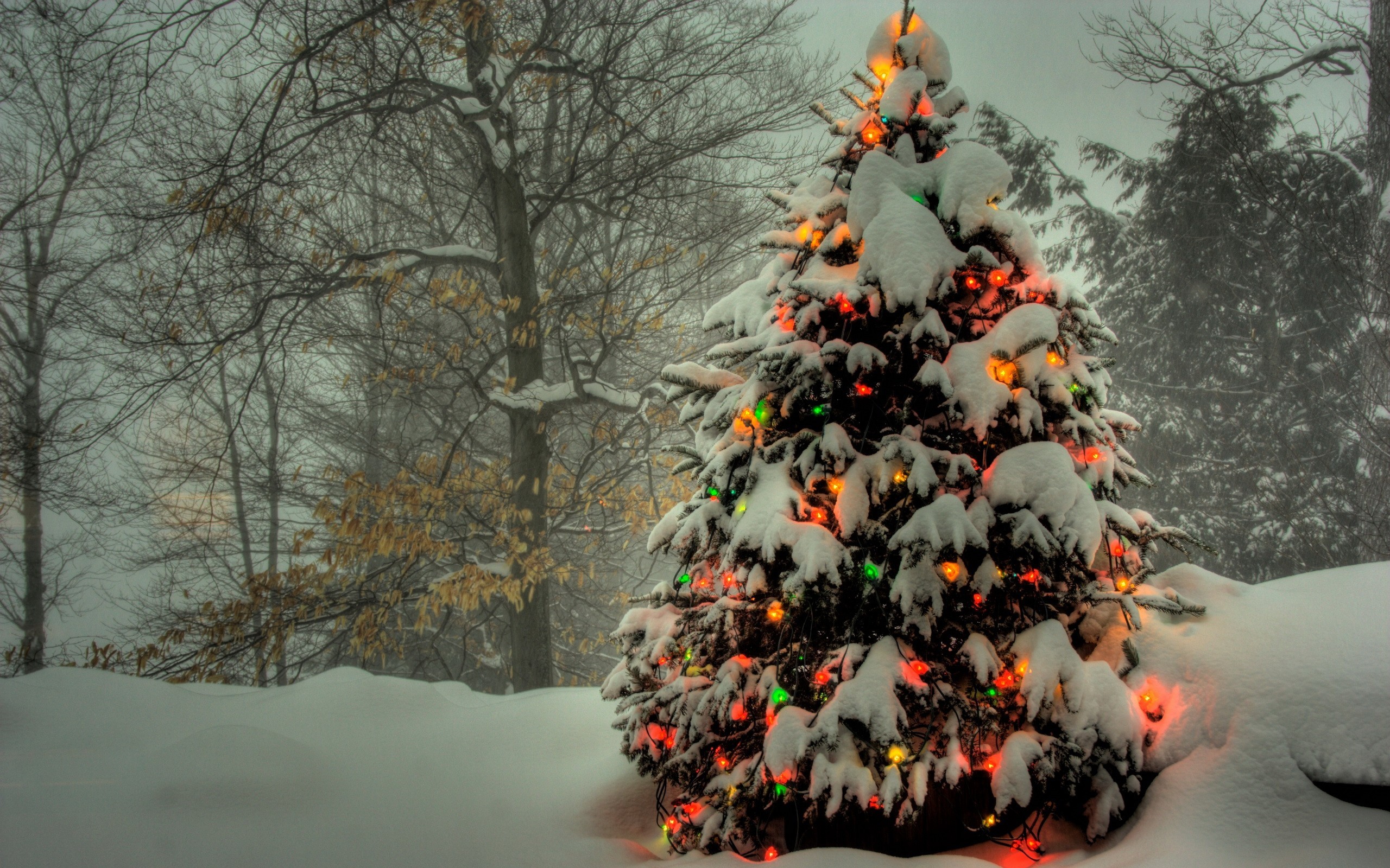 2560x1600 499 best wallpaper images on Pinterest | Christmas scenes, Snow and  Christmas art
