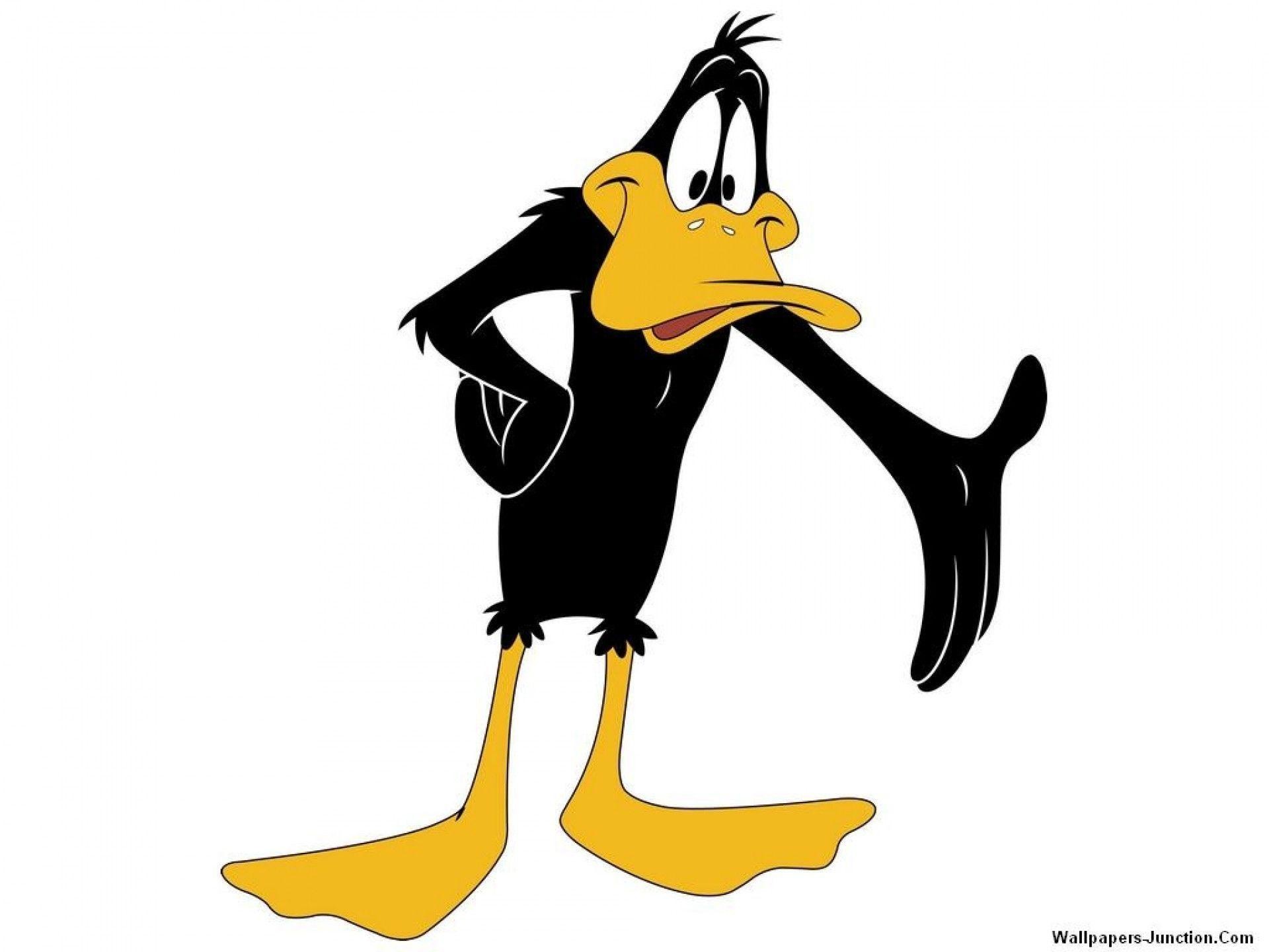 1920x1440 Daffy duck wallpapers