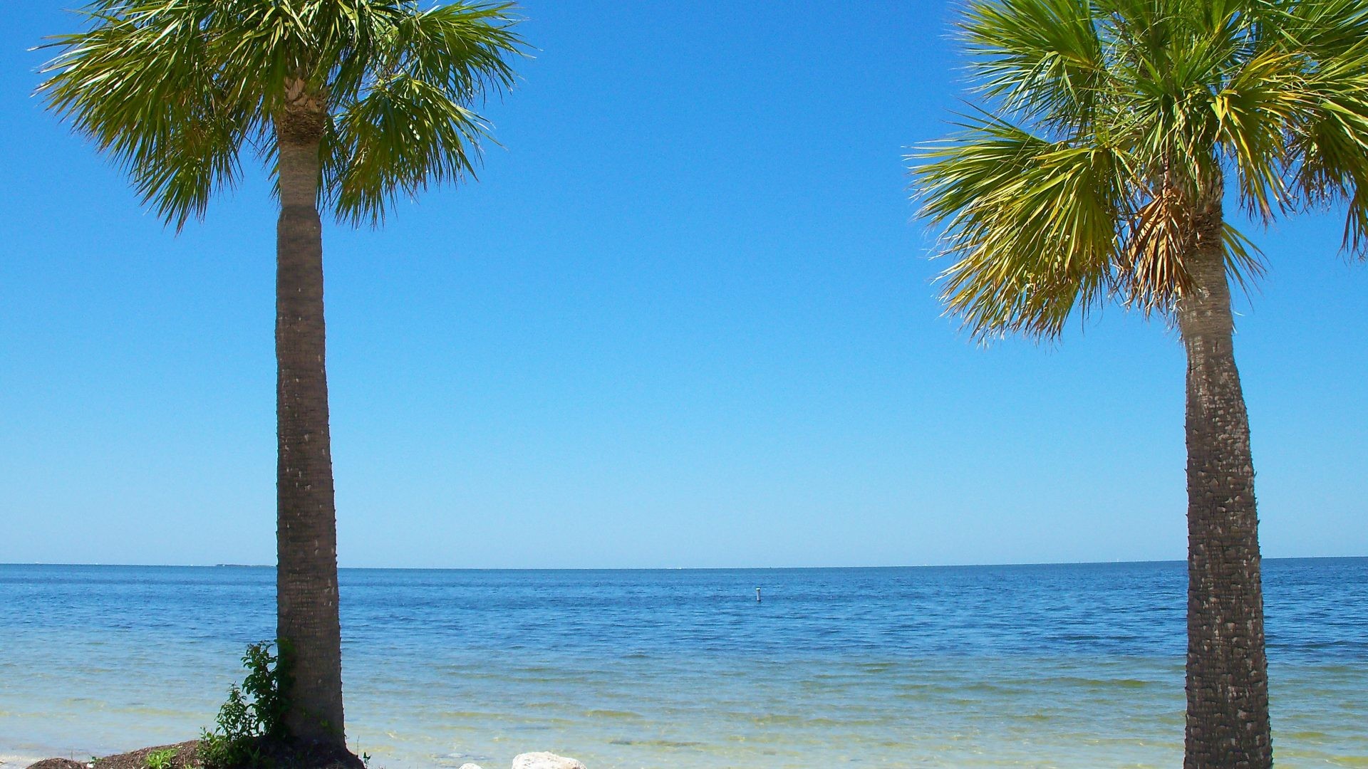 1920x1080 Florida Tag - Sunset Beach Taropn Springs Florida Ocean Sky Sand Nature  Beautiful Palm Trees Sugar