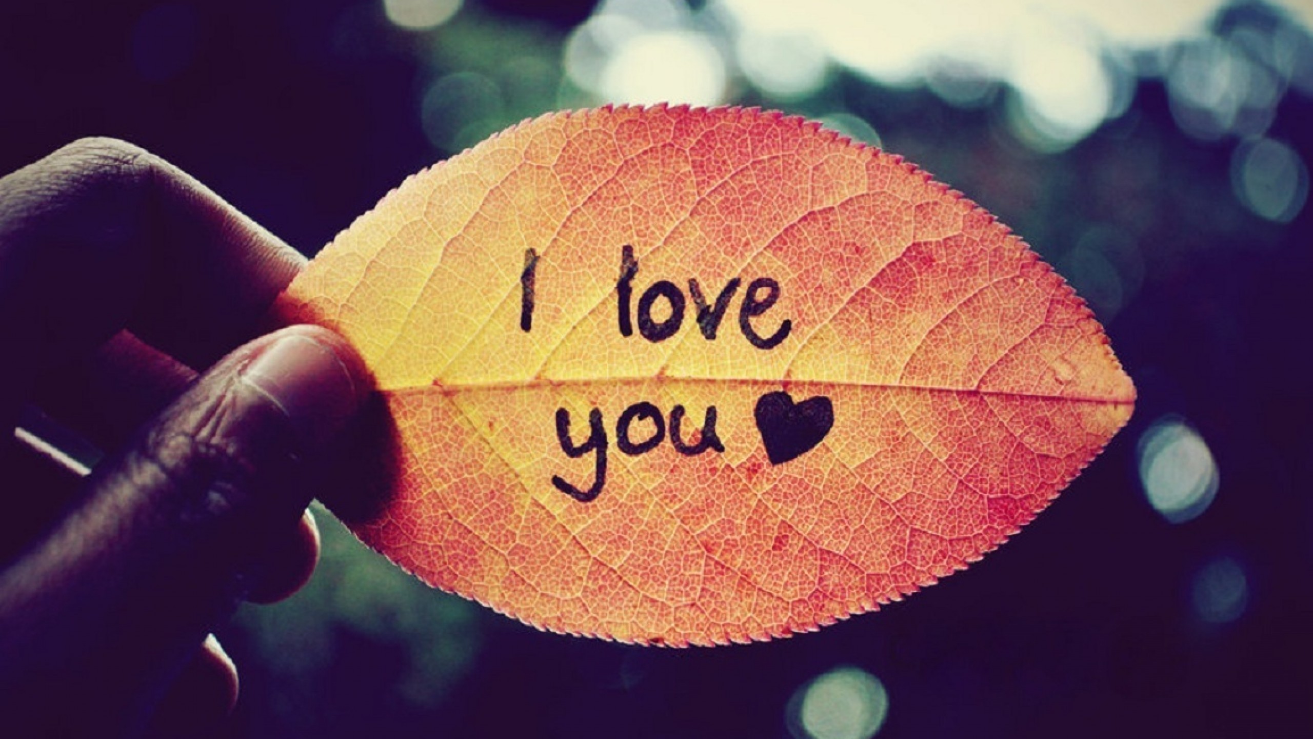 2560x1440 I Love You Background HD Wallpapers 34846