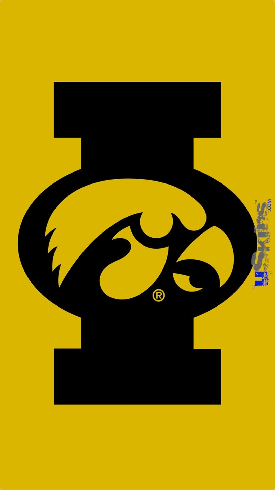 1080x1920 1920x1200 University of Iowa Gold with Black Hawkeye Flag.
