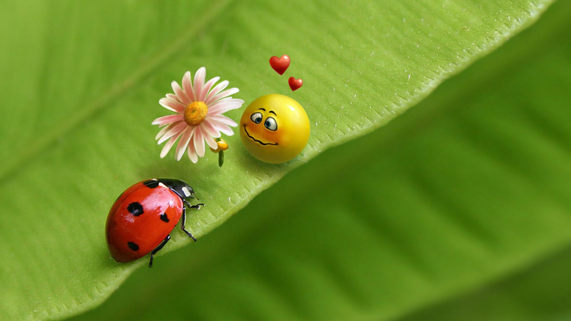 1920x1080 Ladybug and smiley face HD wallpaper