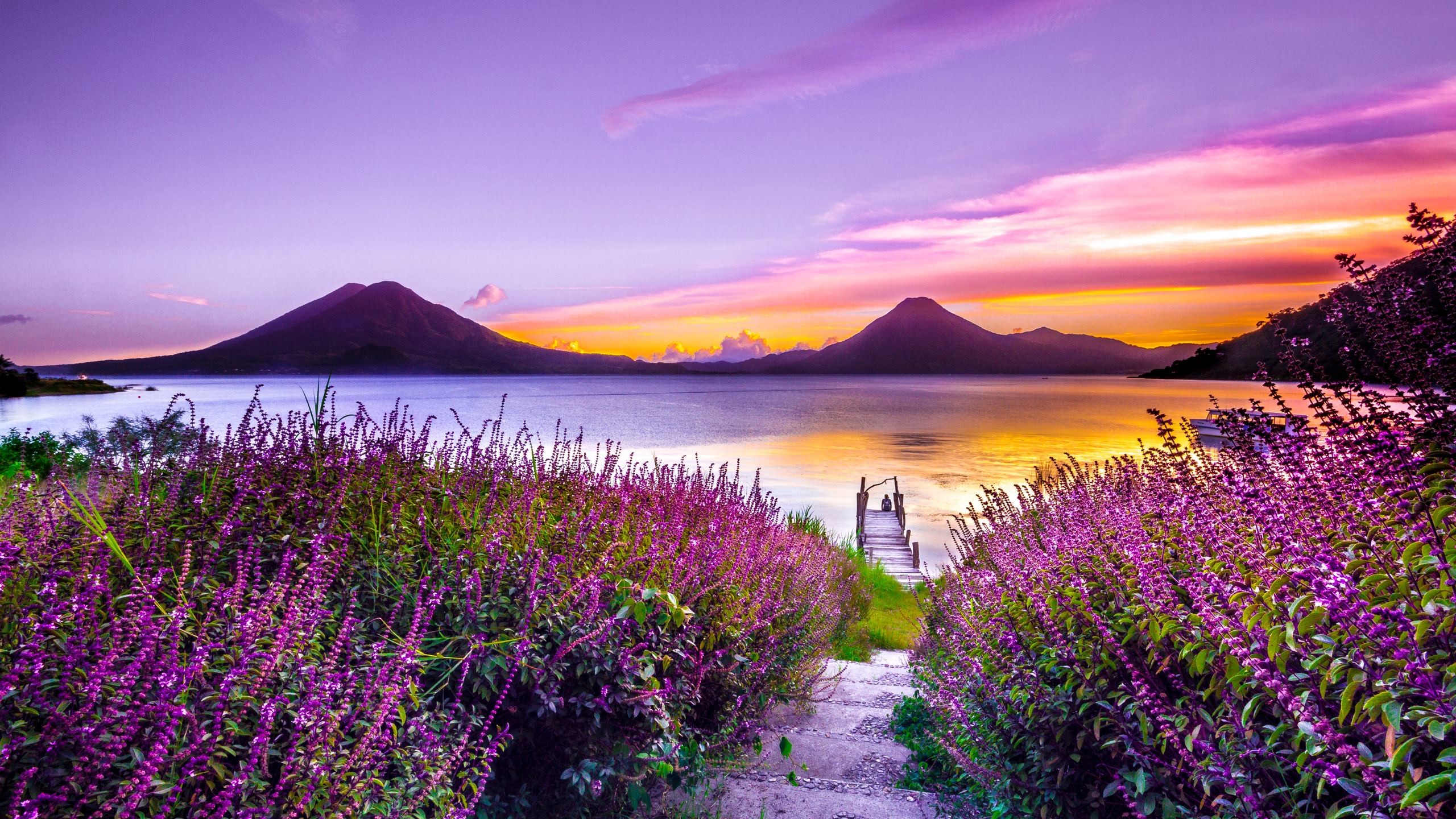 2560x1440 volcano-sunset-flower-purple-dreamy-landscape-4k-5k-